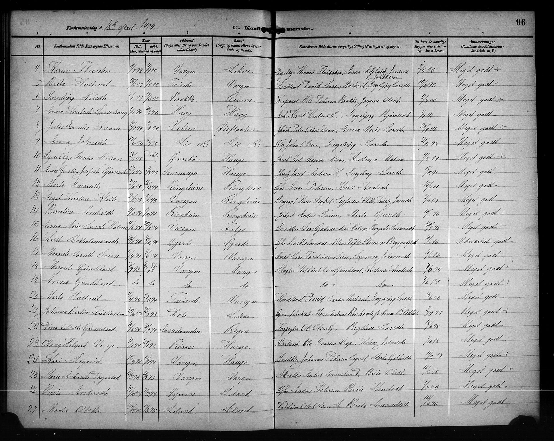 Voss sokneprestembete, AV/SAB-A-79001/H/Hab: Parish register (copy) no. D 1, 1895-1909, p. 96