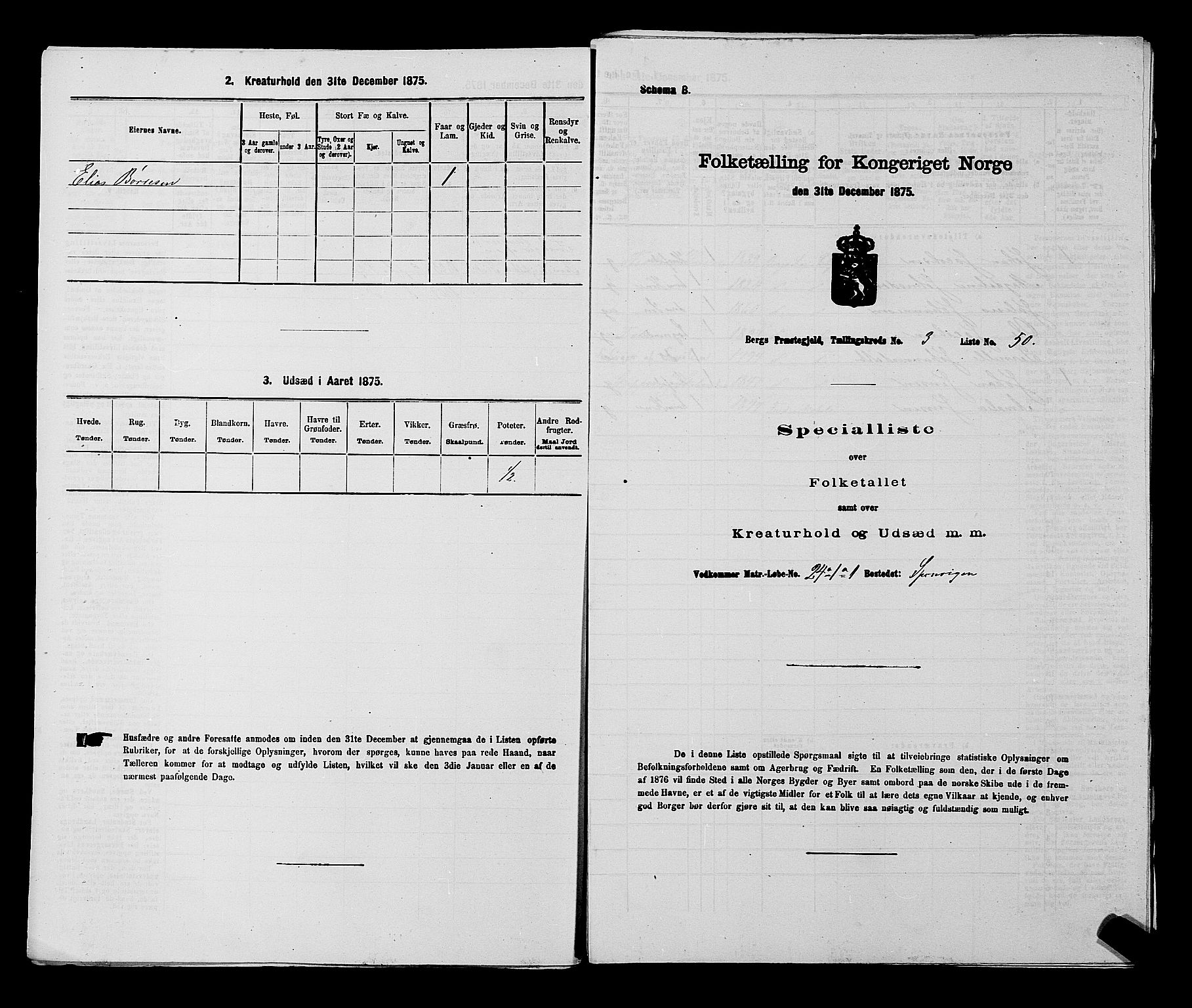 RA, 1875 census for 0116P Berg, 1875, p. 411