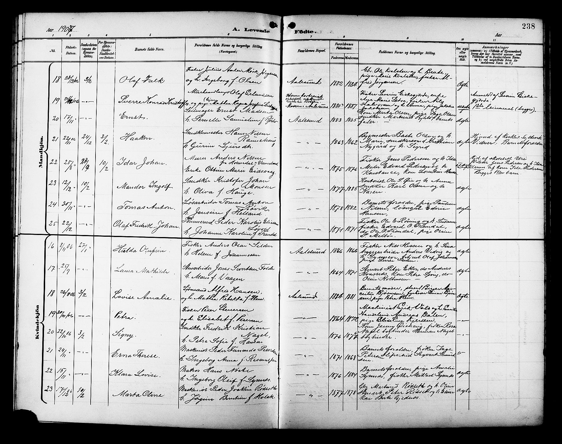 Ministerialprotokoller, klokkerbøker og fødselsregistre - Møre og Romsdal, AV/SAT-A-1454/529/L0468: Parish register (copy) no. 529C05, 1897-1908, p. 238