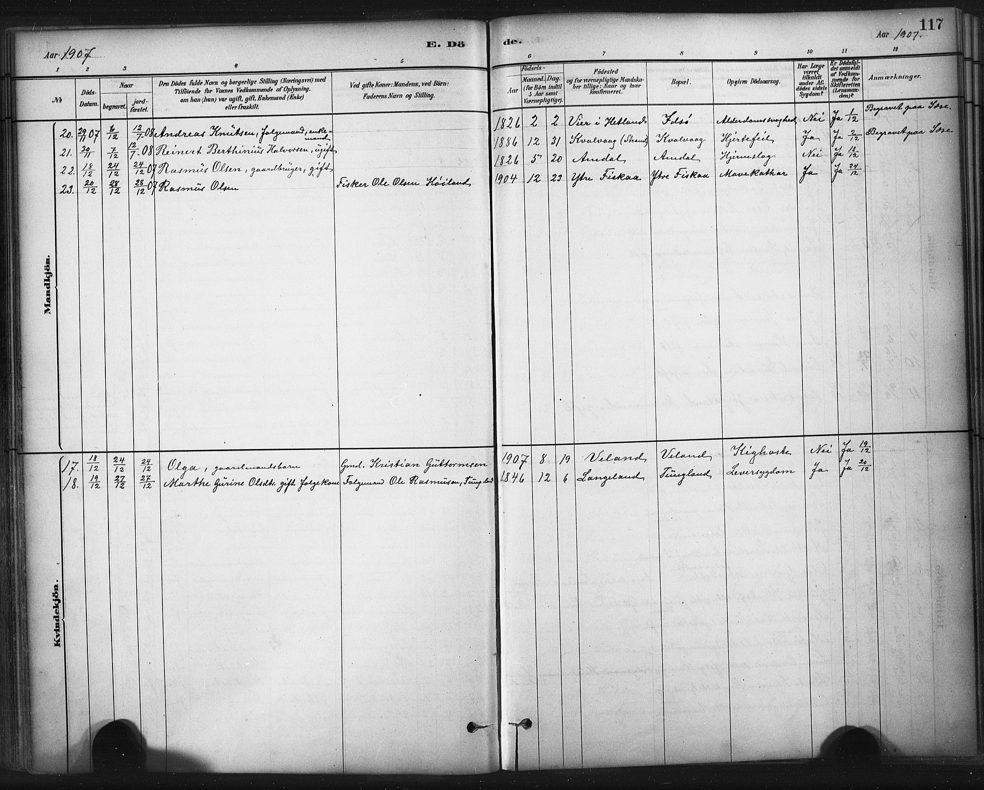 Strand sokneprestkontor, AV/SAST-A-101828/H/Ha/Haa/L0010: Parish register (official) no. A 10, 1882-1929, p. 117