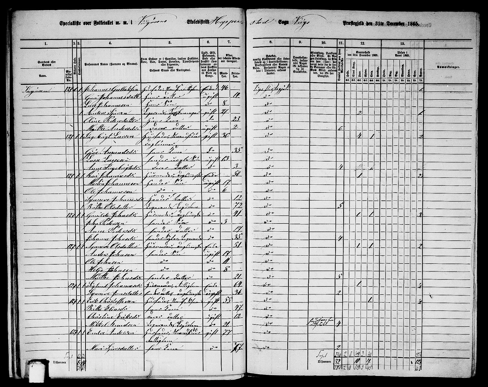 RA, 1865 census for Vik, 1865, p. 20