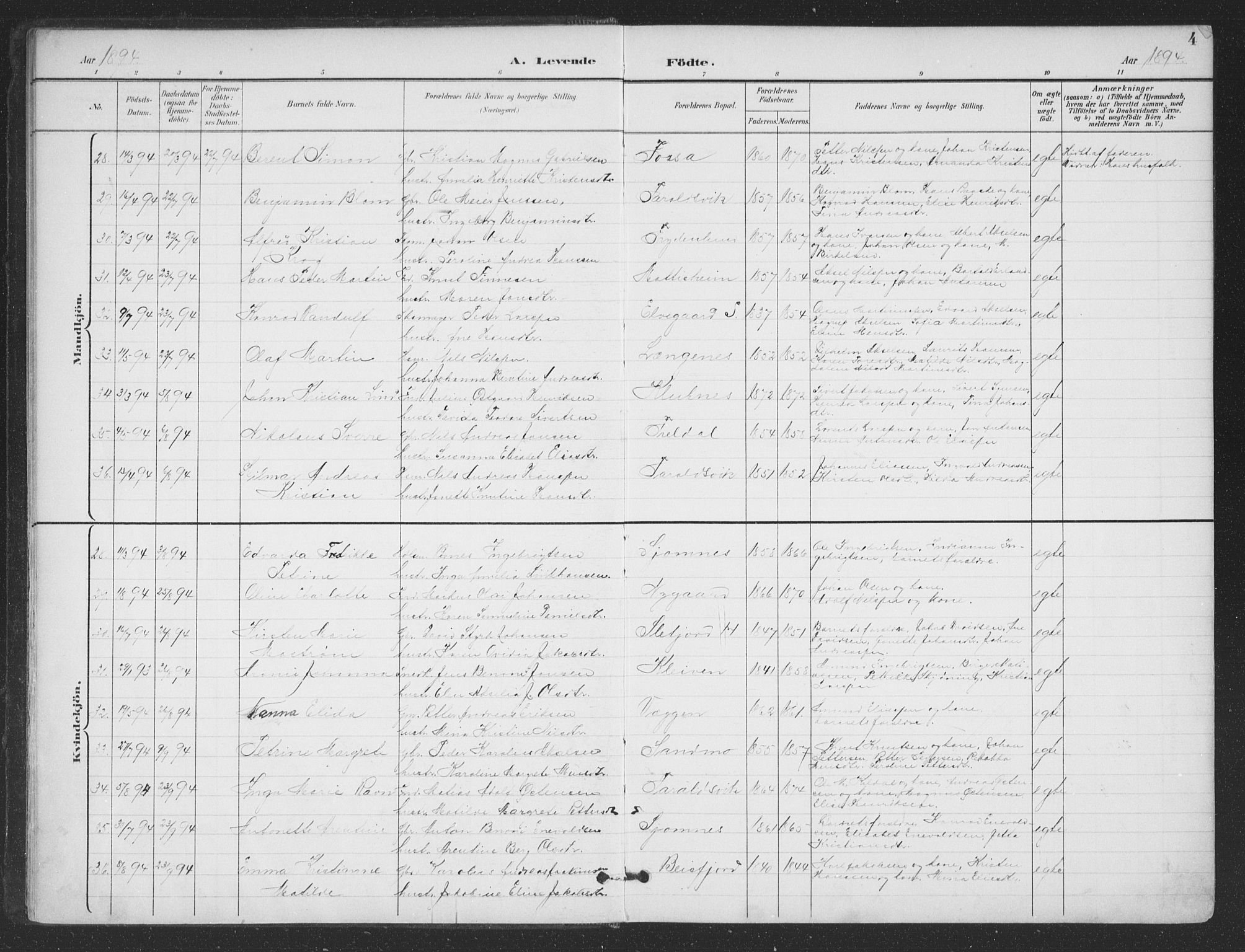 Ministerialprotokoller, klokkerbøker og fødselsregistre - Nordland, AV/SAT-A-1459/866/L0939: Parish register (official) no. 866A02, 1894-1906, p. 4