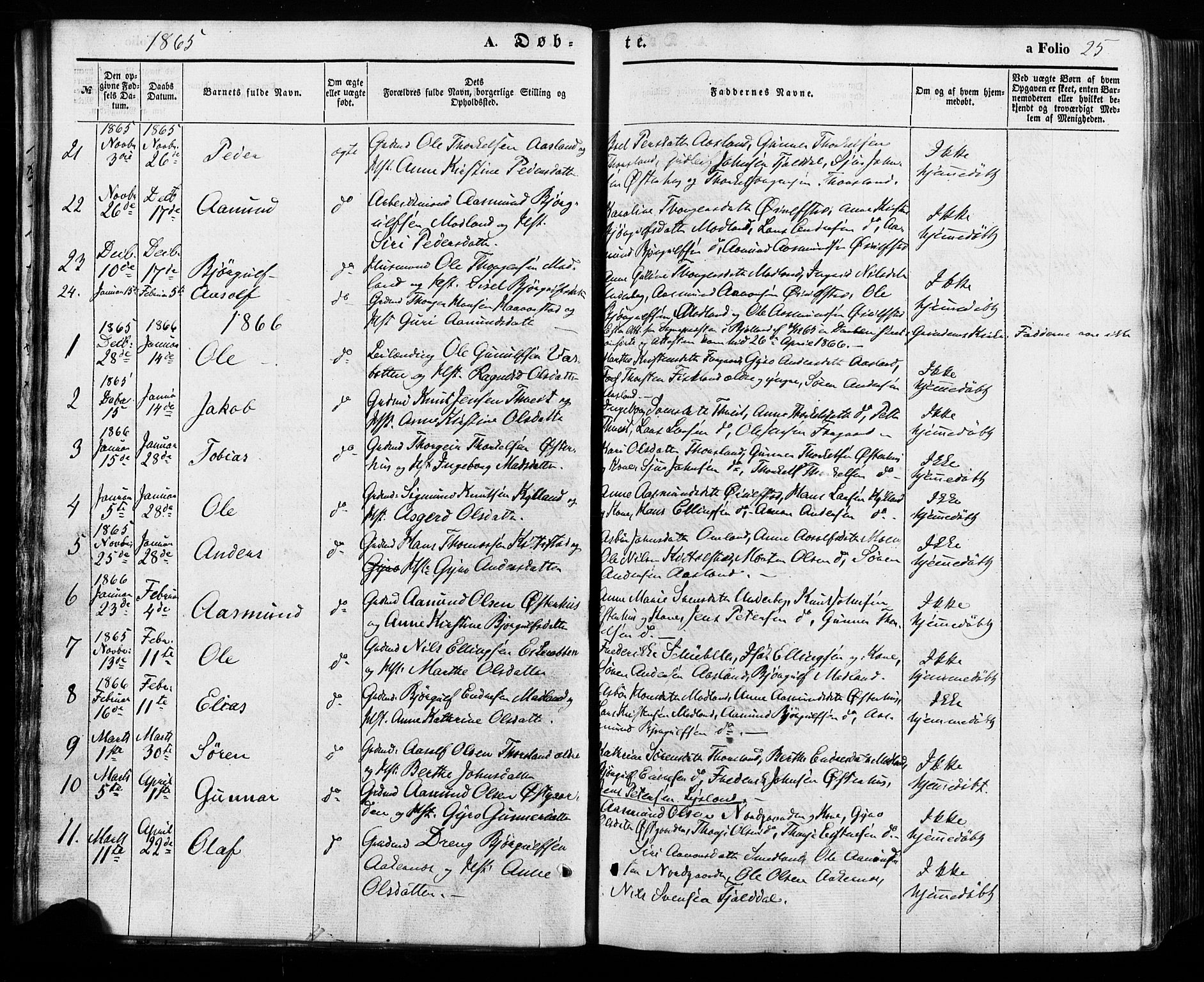 Åseral sokneprestkontor, SAK/1111-0051/F/Fa/L0002: Parish register (official) no. A 2, 1854-1884, p. 25
