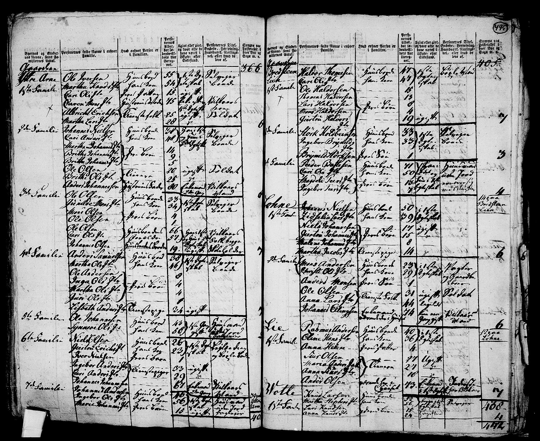 RA, 1801 census for 1250P Haus, 1801, p. 494b-495a