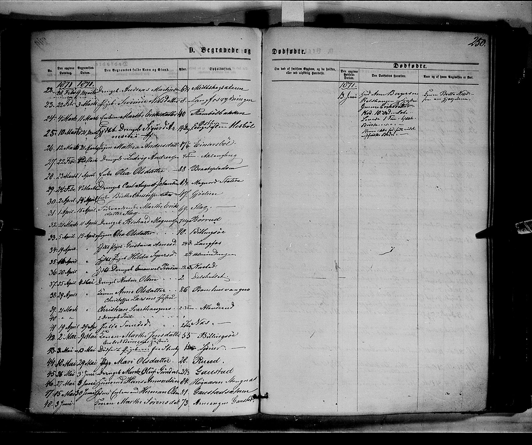 Eidskog prestekontor, AV/SAH-PREST-026/H/Ha/Haa/L0002: Parish register (official) no. 2, 1867-1878, p. 250