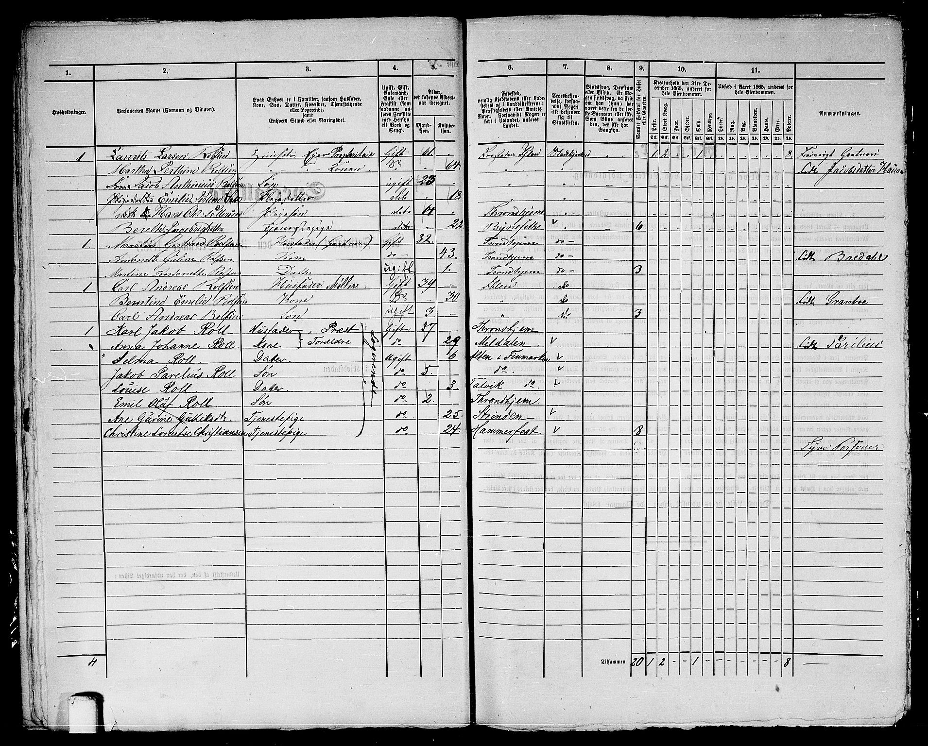 RA, 1865 census for Trondheim, 1865, p. 2106