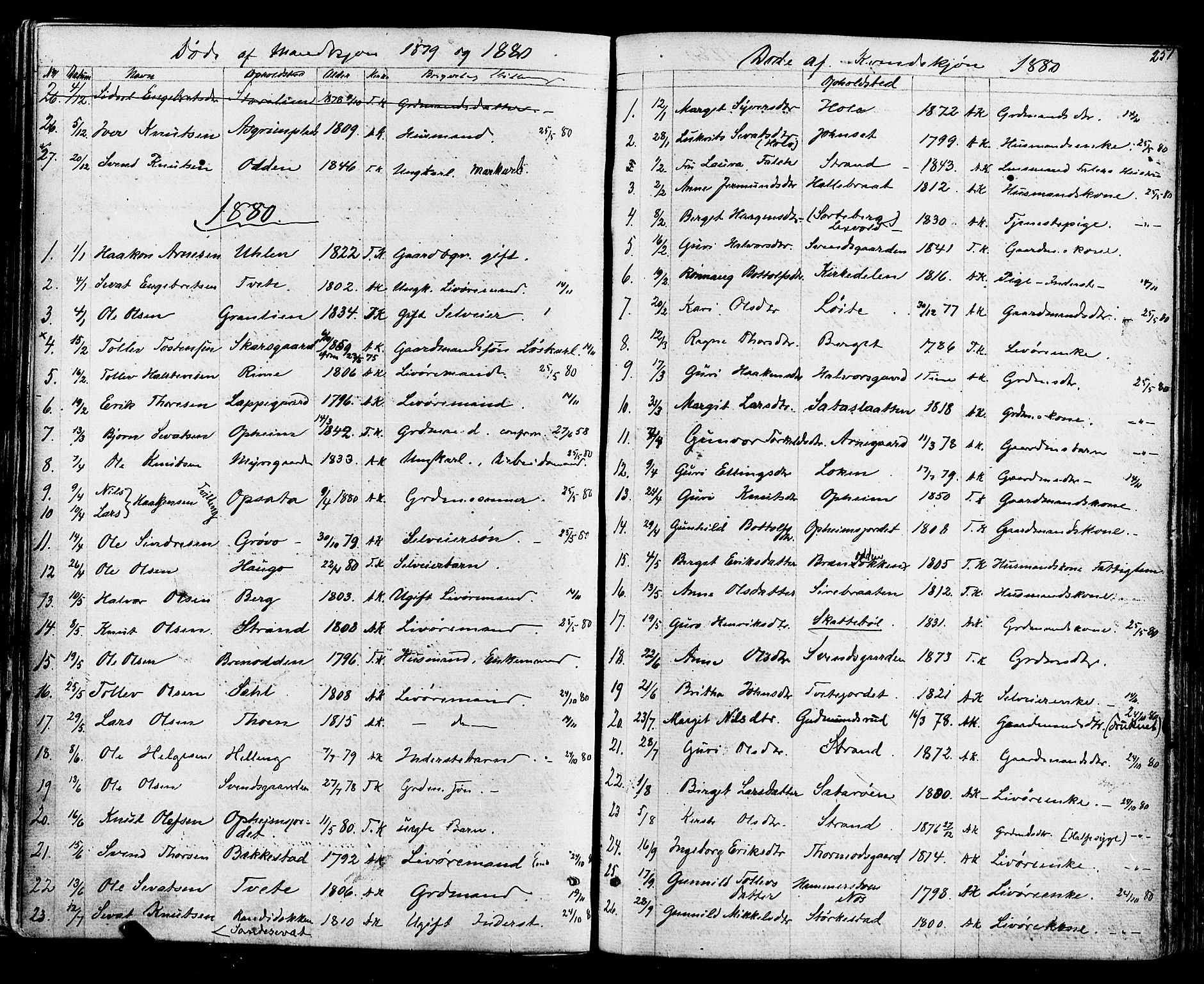 Ål kirkebøker, AV/SAKO-A-249/F/Fa/L0007: Parish register (official) no. I 7, 1865-1881, p. 251