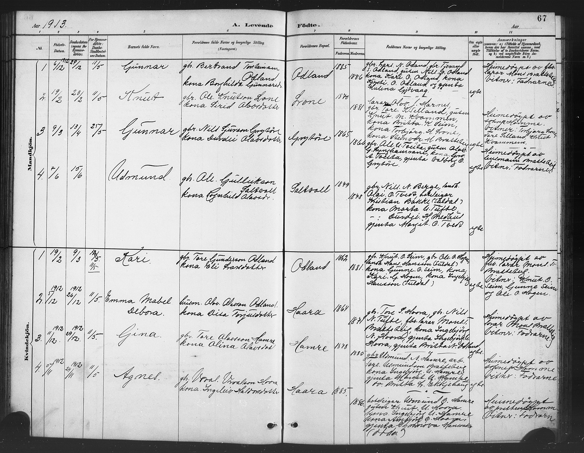 Røldal sokneprestembete, SAB/A-100247: Parish register (copy) no. A 3, 1887-1917, p. 67