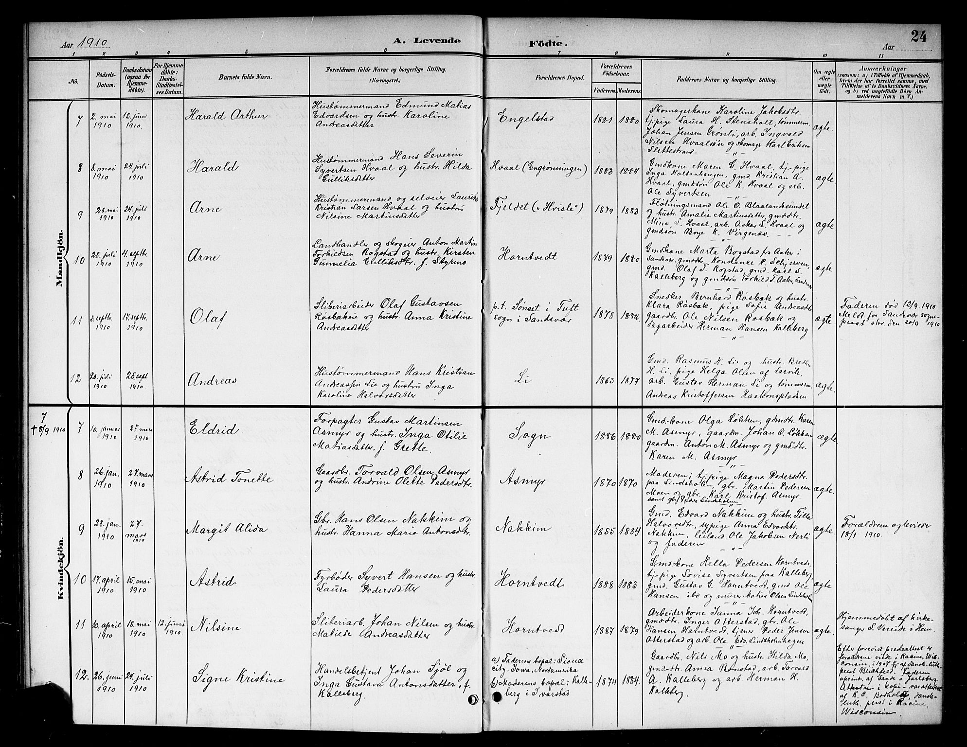 Lardal kirkebøker, SAKO/A-350/G/Ga/L0002: Parish register (copy) no. I 2, 1901-1916, p. 24