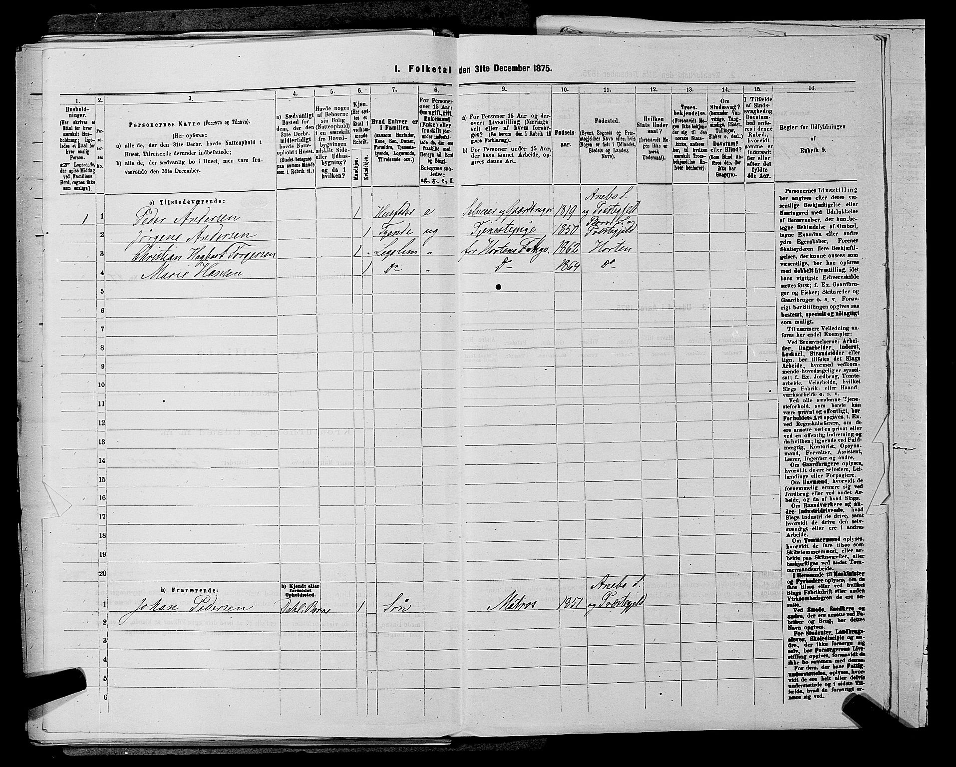 SAKO, 1875 census for 0717L Borre/Borre og Nykirke, 1875, p. 499