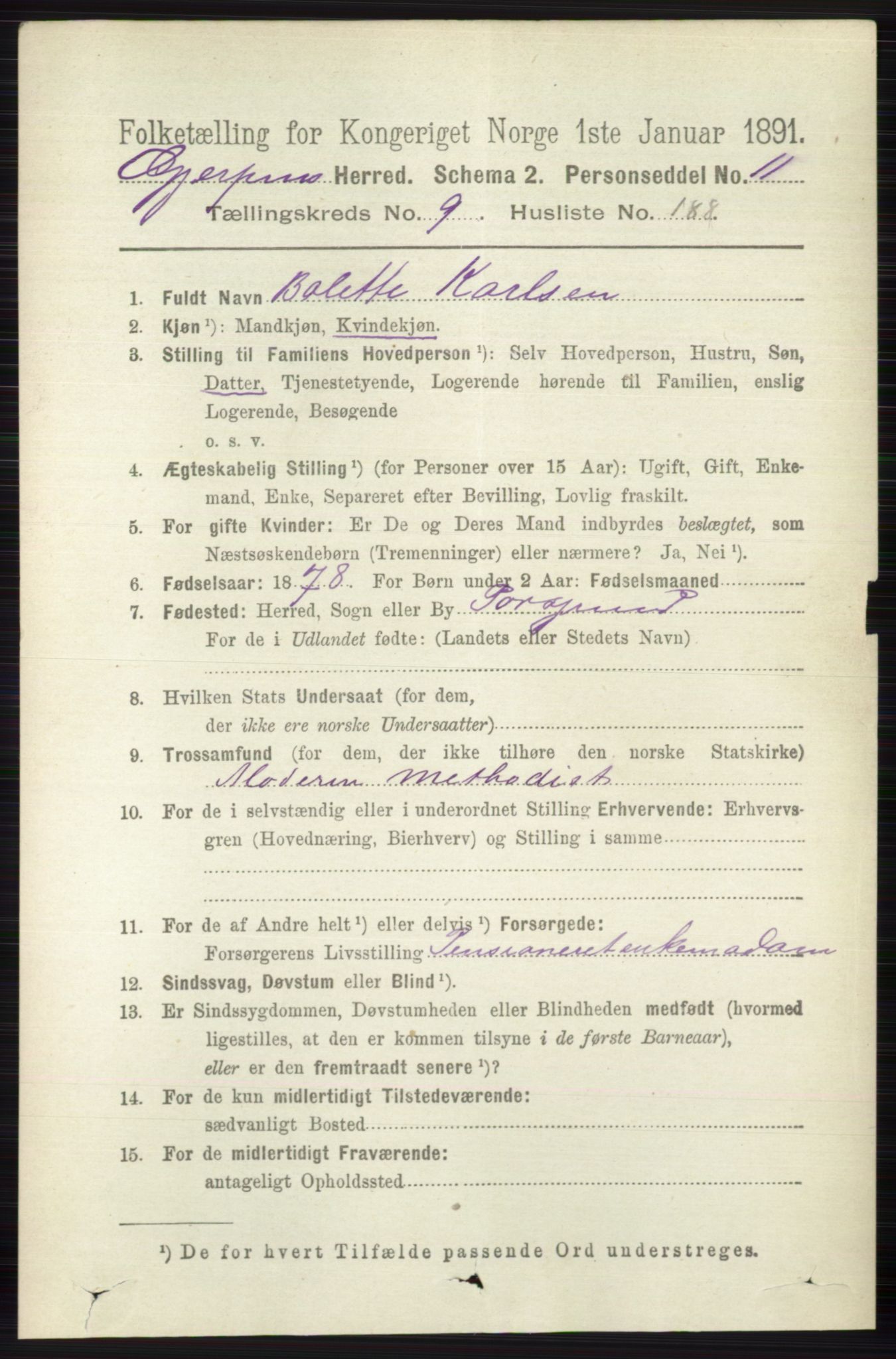 RA, 1891 census for 0812 Gjerpen, 1891, p. 6061