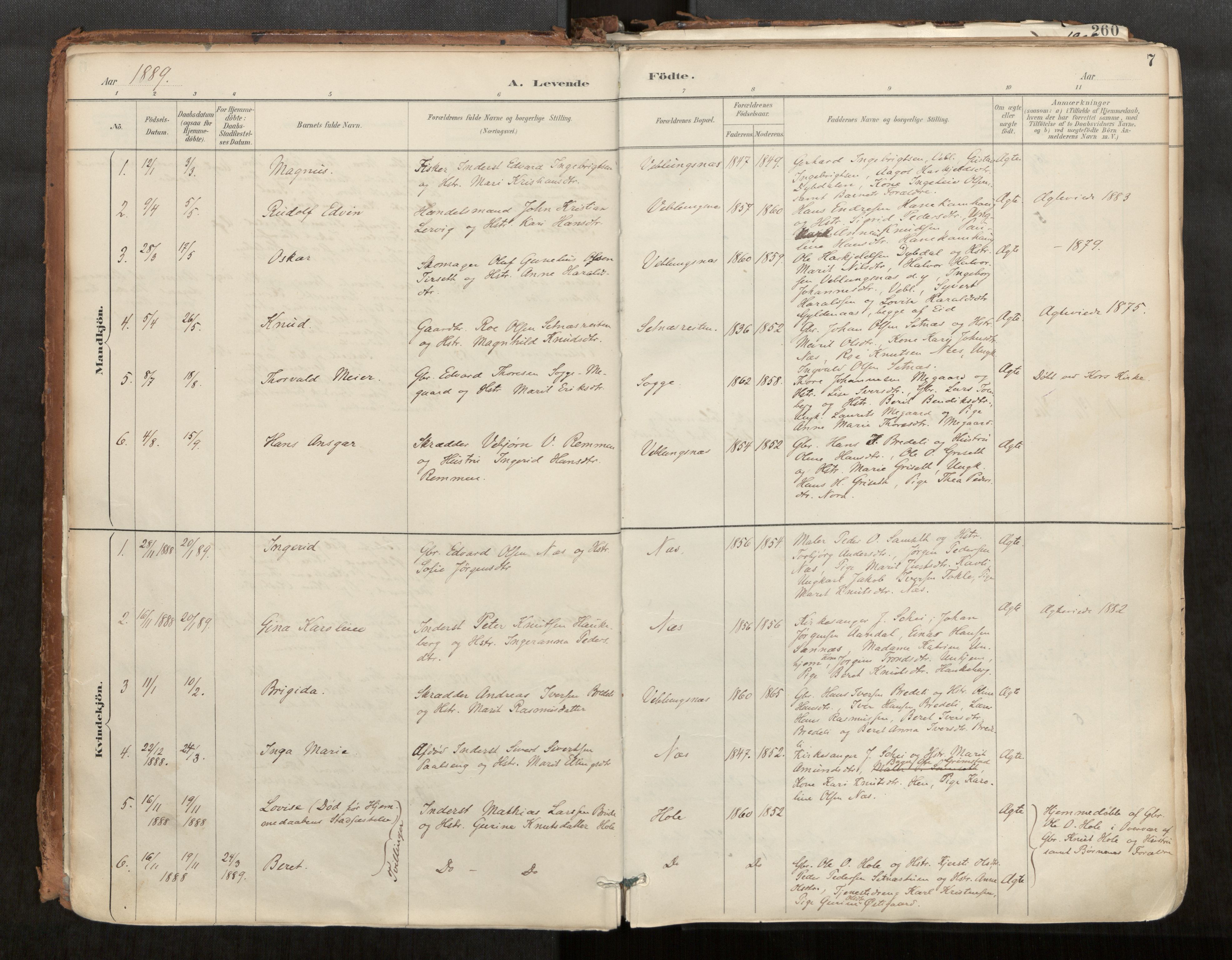 Ministerialprotokoller, klokkerbøker og fødselsregistre - Møre og Romsdal, AV/SAT-A-1454/544/L0585: Parish register (official) no. 544A06, 1887-1924, p. 7