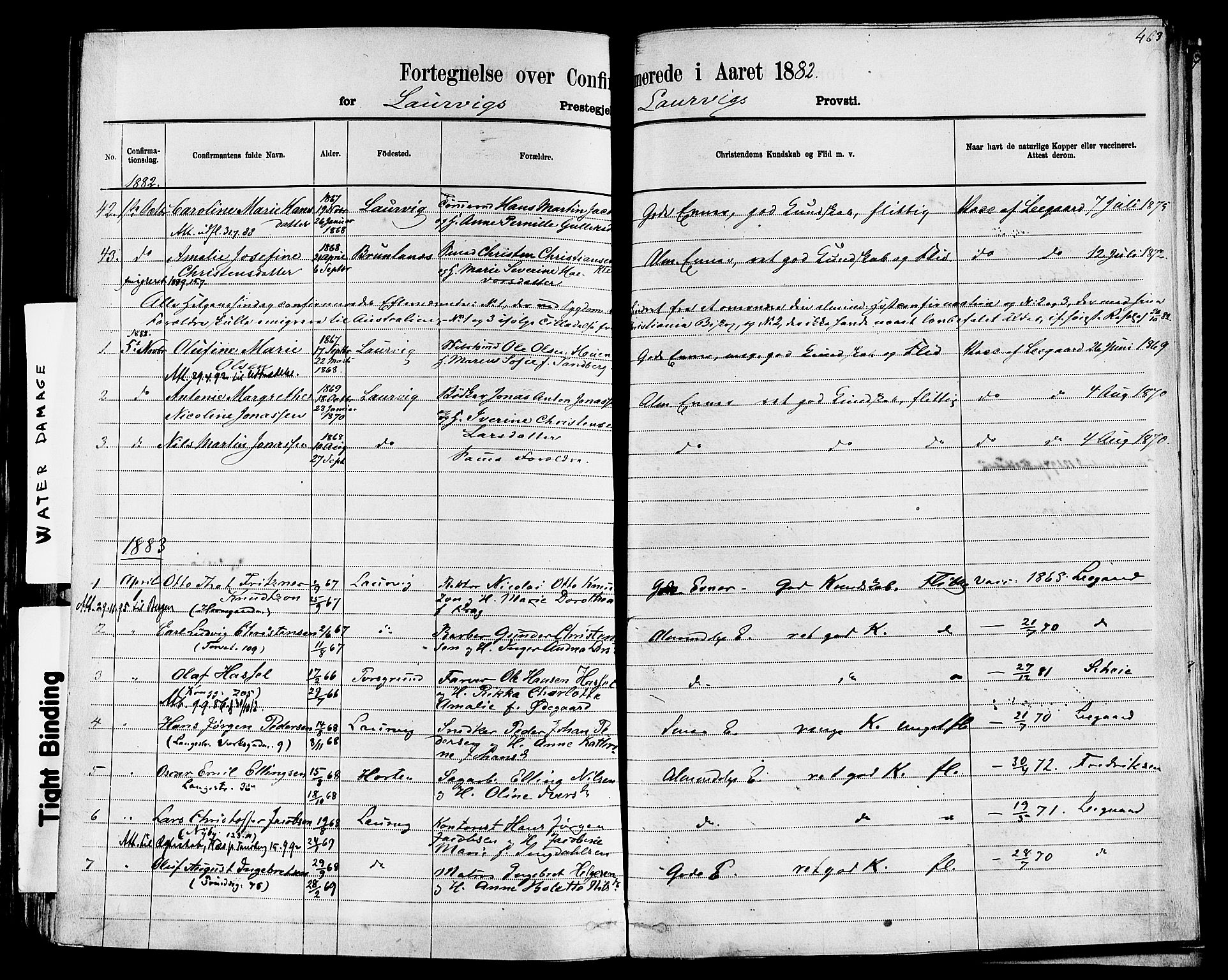 Larvik kirkebøker, AV/SAKO-A-352/F/Fa/L0006: Parish register (official) no. I 6, 1871-1883, p. 463