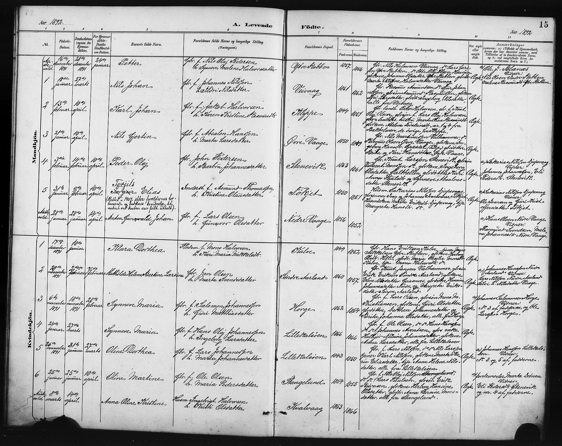 Austevoll Sokneprestembete, SAB/A-74201/H/Hab: Parish register (copy) no. B 4, 1889-1901, p. 15