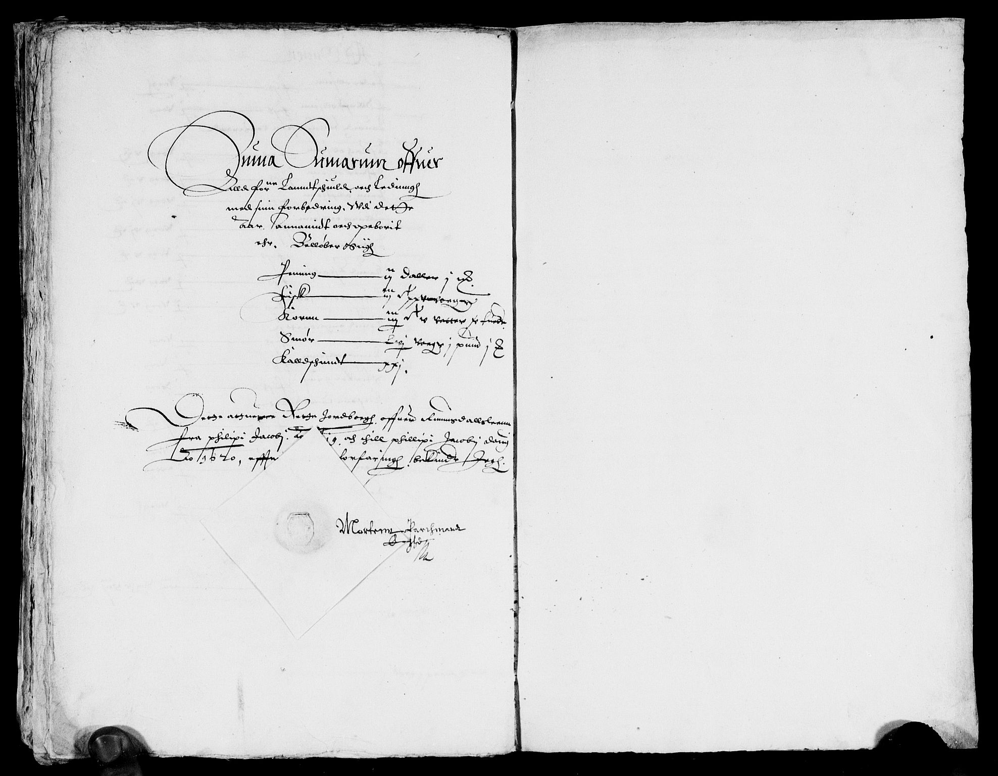 Rentekammeret inntil 1814, Reviderte regnskaper, Lensregnskaper, AV/RA-EA-5023/R/Rb/Rbw/L0019: Trondheim len, 1619-1620