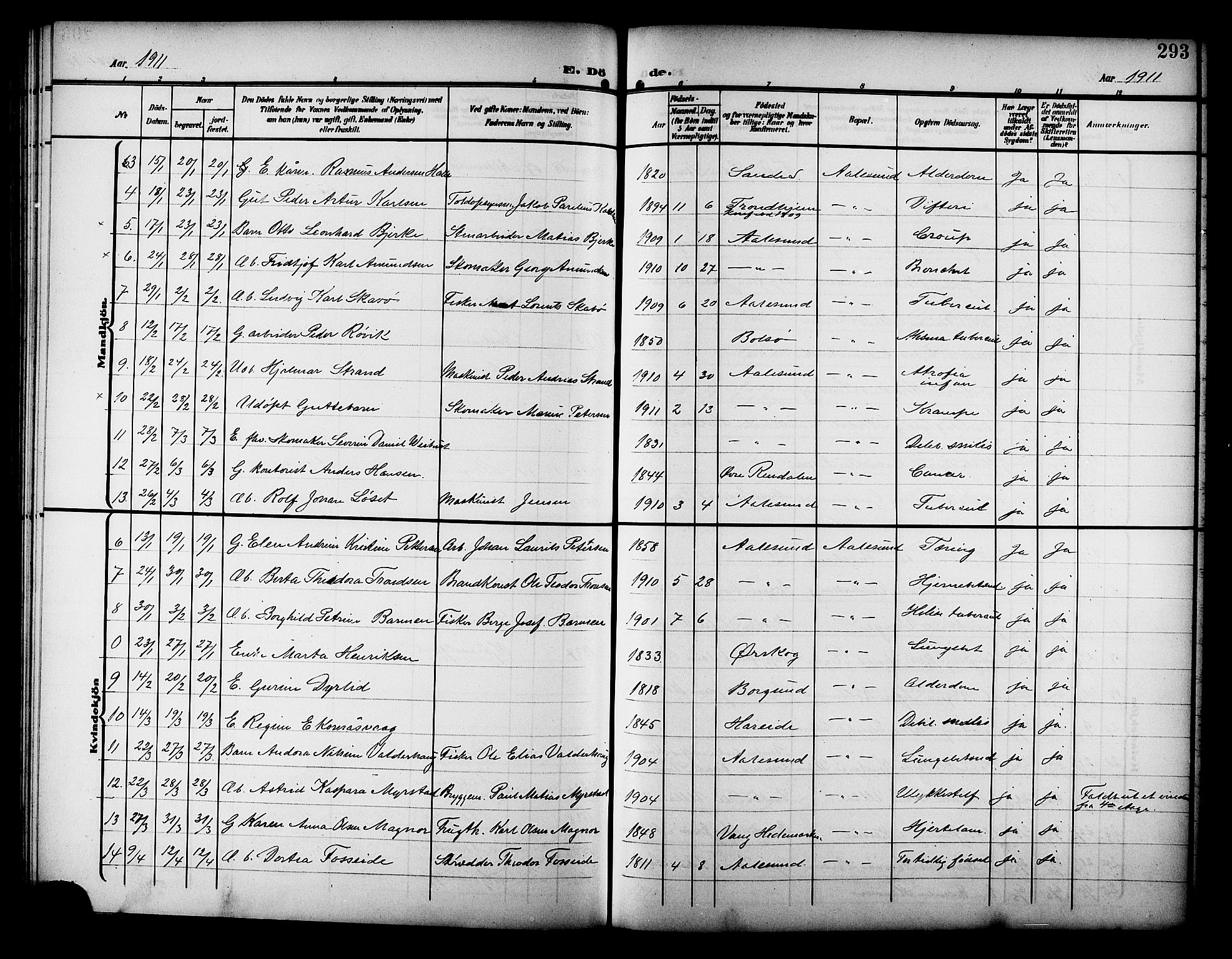 Ministerialprotokoller, klokkerbøker og fødselsregistre - Møre og Romsdal, AV/SAT-A-1454/529/L0470: Parish register (copy) no. 529C07, 1907-1917, p. 293