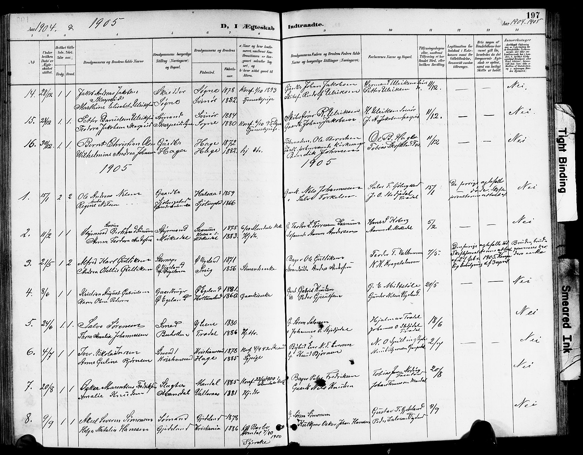 Sør-Audnedal sokneprestkontor, AV/SAK-1111-0039/F/Fb/Fbb/L0006: Parish register (copy) no. B 6, 1893-1915, p. 197