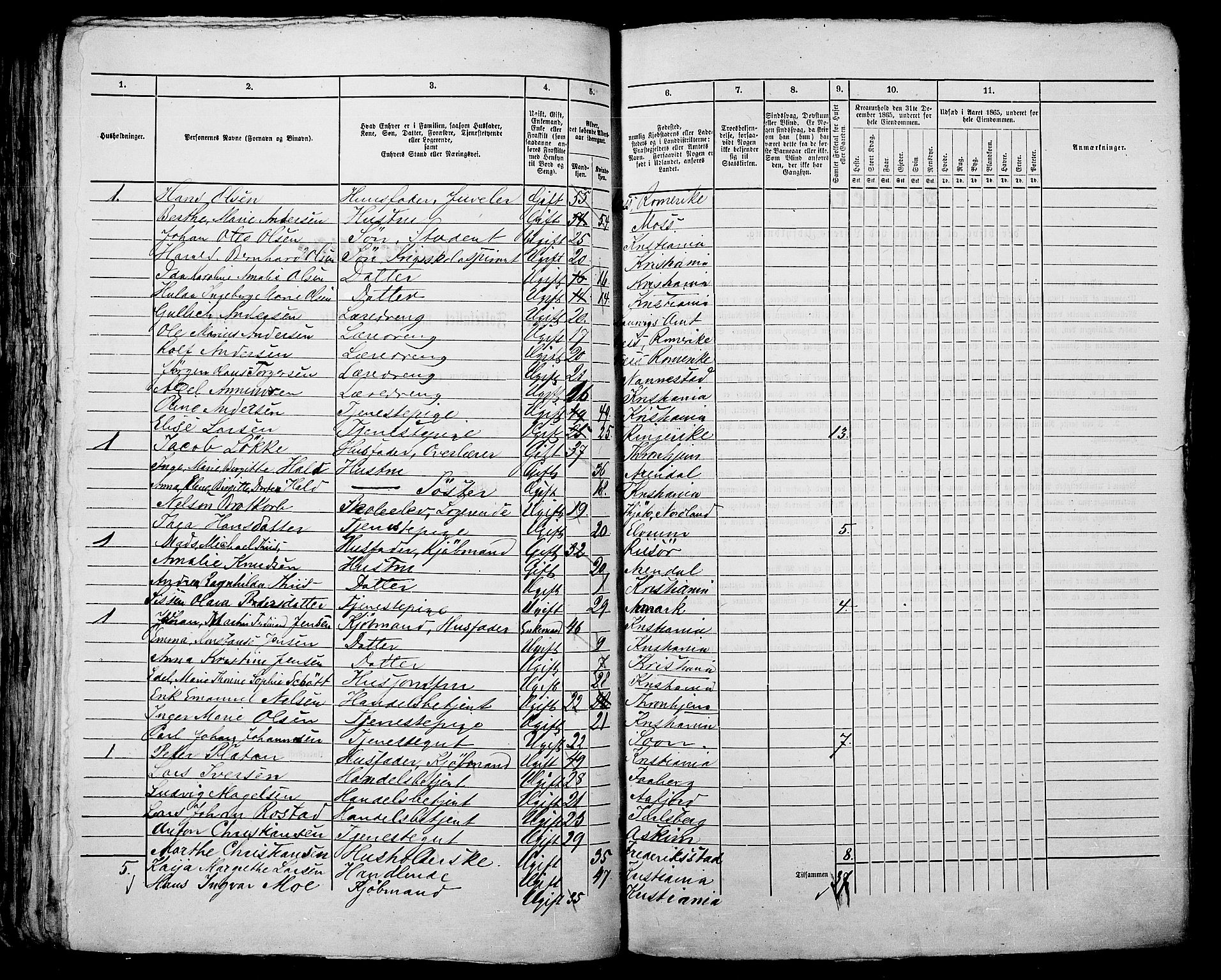 RA, 1865 census for Kristiania, 1865, p. 689