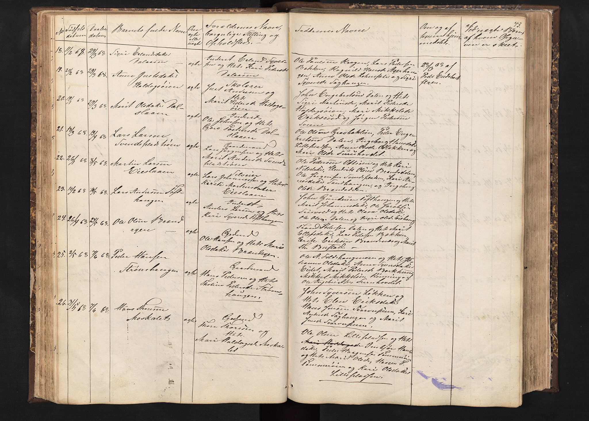 Alvdal prestekontor, SAH/PREST-060/H/Ha/Hab/L0001: Parish register (copy) no. 1, 1857-1893, p. 43