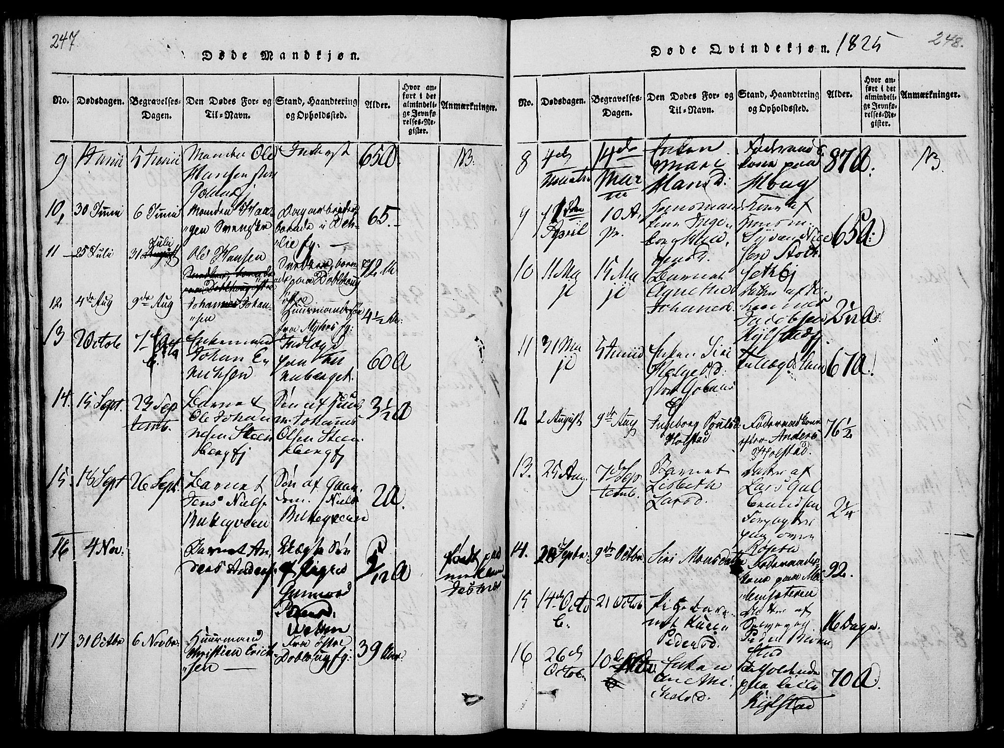 Vang prestekontor, Hedmark, SAH/PREST-008/H/Ha/Haa/L0008: Parish register (official) no. 8, 1815-1826, p. 247-248