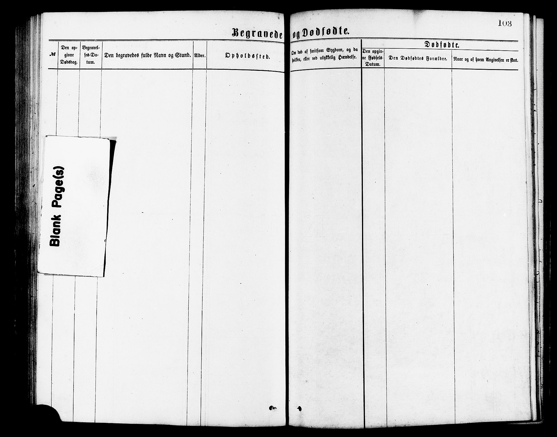 Ministerialprotokoller, klokkerbøker og fødselsregistre - Møre og Romsdal, AV/SAT-A-1454/517/L0227: Parish register (official) no. 517A07, 1870-1886, p. 103