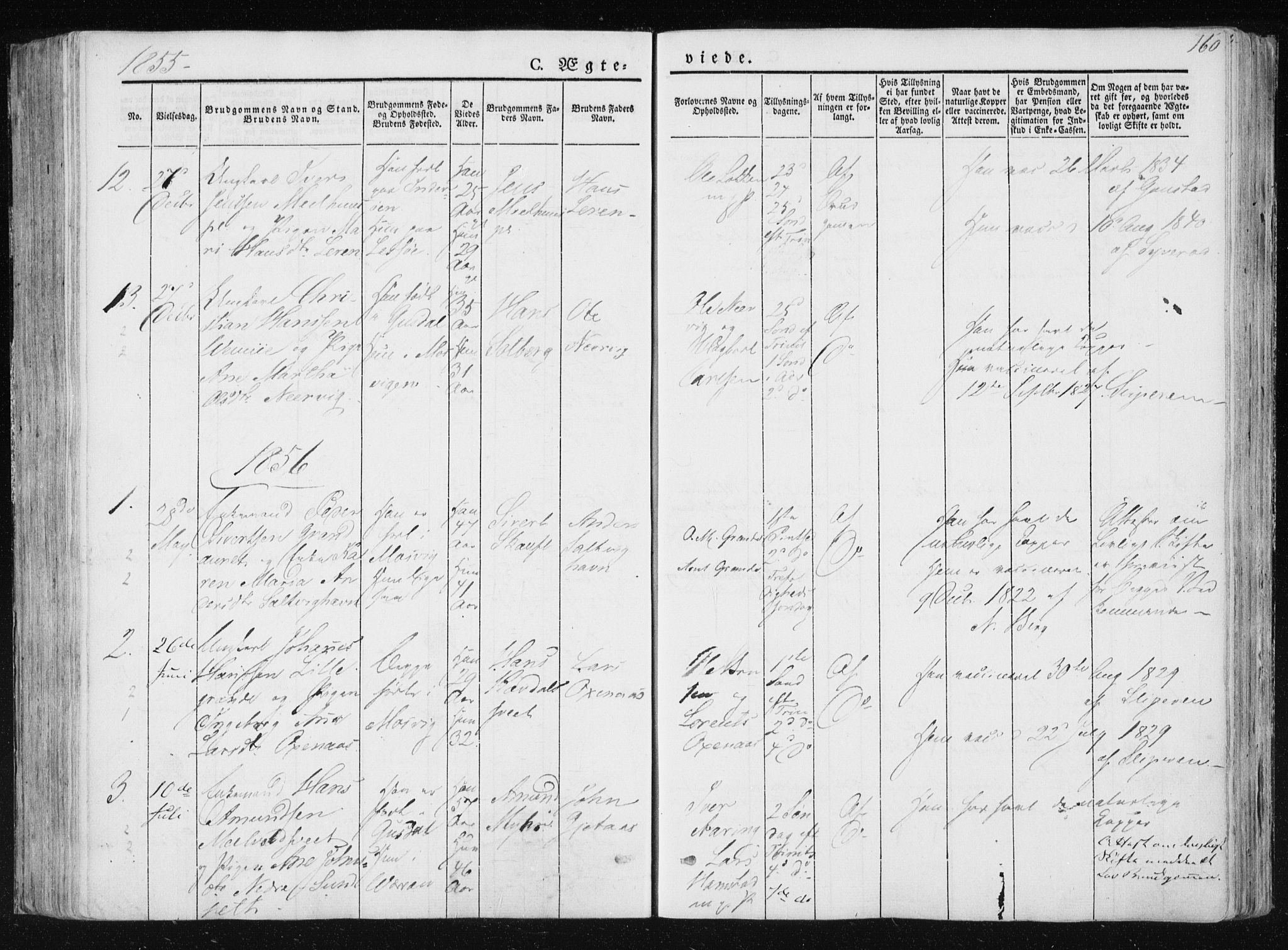 Ministerialprotokoller, klokkerbøker og fødselsregistre - Nord-Trøndelag, AV/SAT-A-1458/733/L0323: Parish register (official) no. 733A02, 1843-1870, p. 160