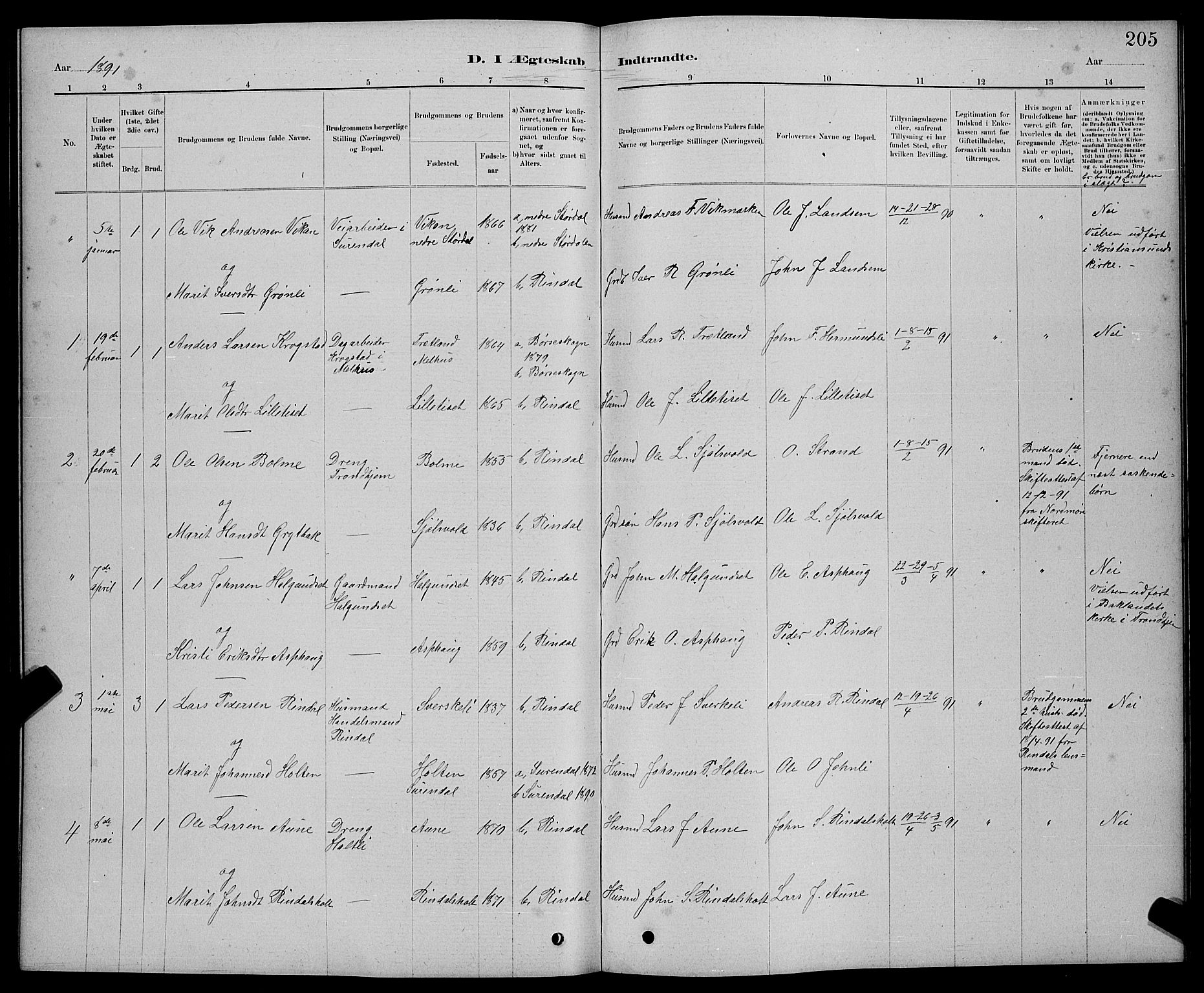 Ministerialprotokoller, klokkerbøker og fødselsregistre - Møre og Romsdal, AV/SAT-A-1454/598/L1077: Parish register (copy) no. 598C02, 1879-1891, p. 205