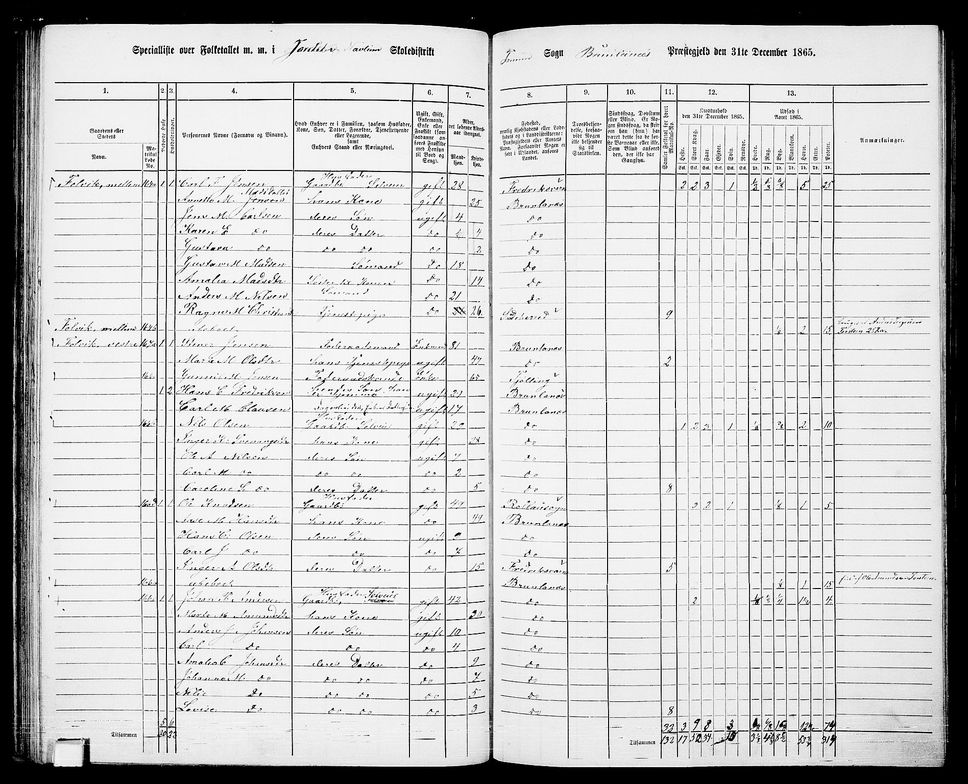 RA, 1865 census for Brunlanes, 1865, p. 73