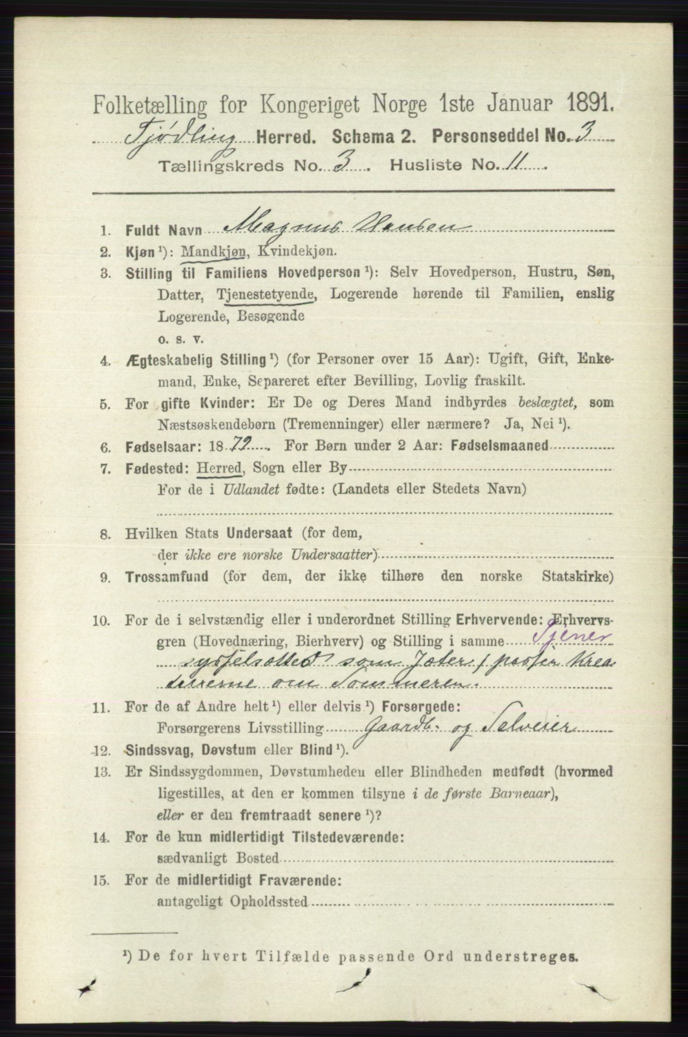 RA, 1891 census for 0725 Tjølling, 1891, p. 986