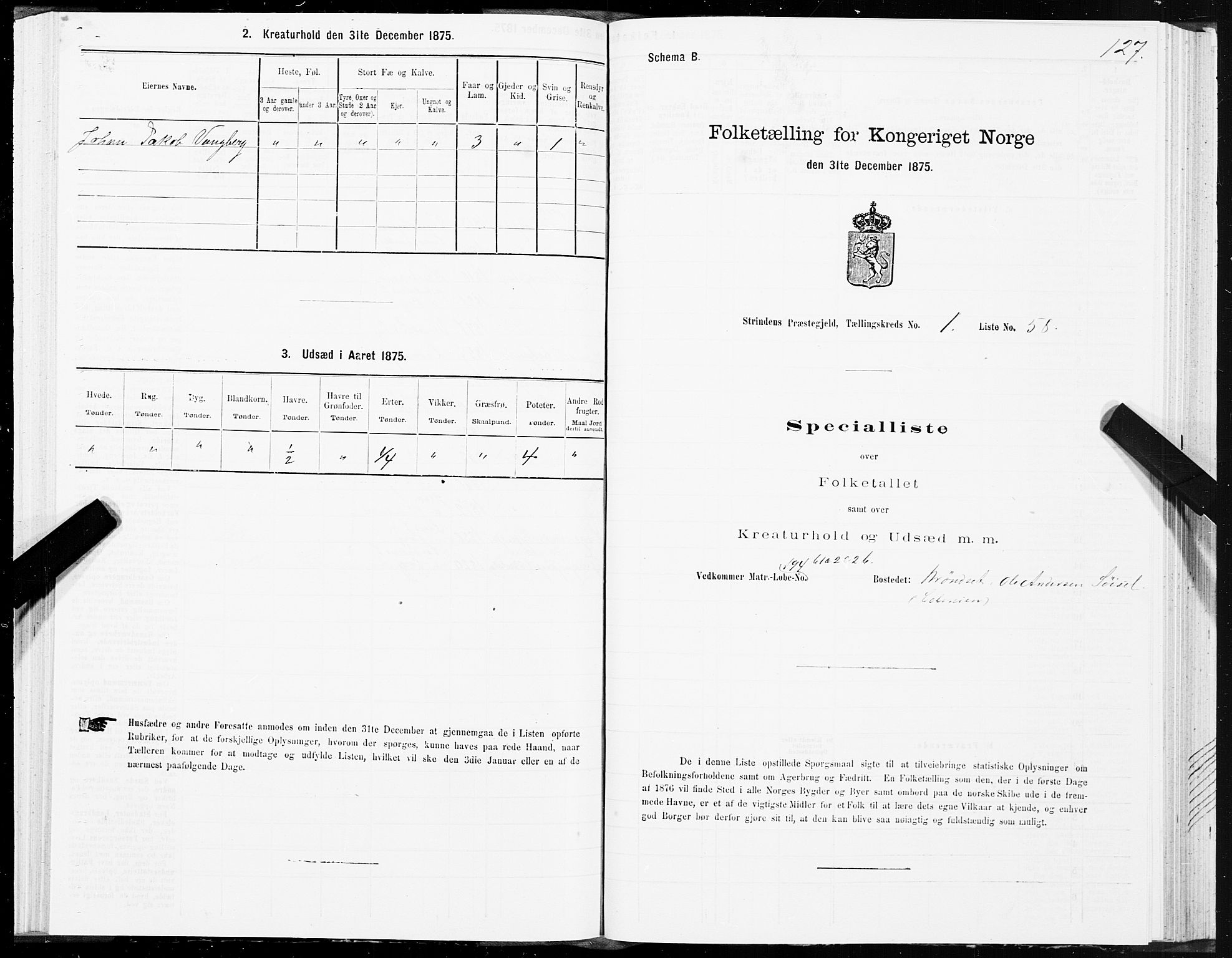 SAT, 1875 census for 1660P Strinda, 1875, p. 1127