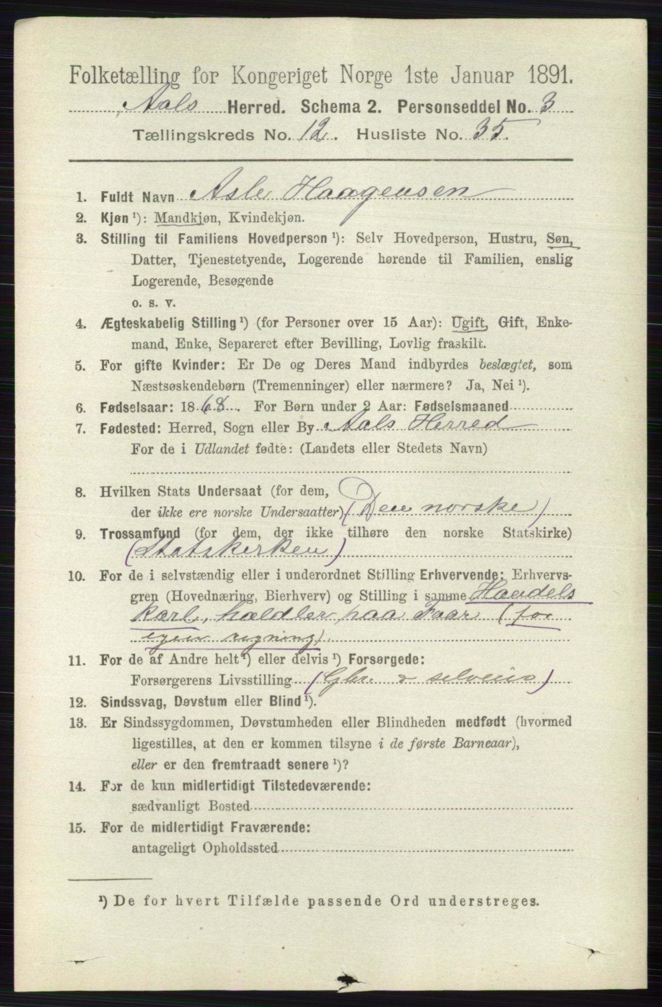 RA, 1891 census for 0619 Ål, 1891, p. 3207