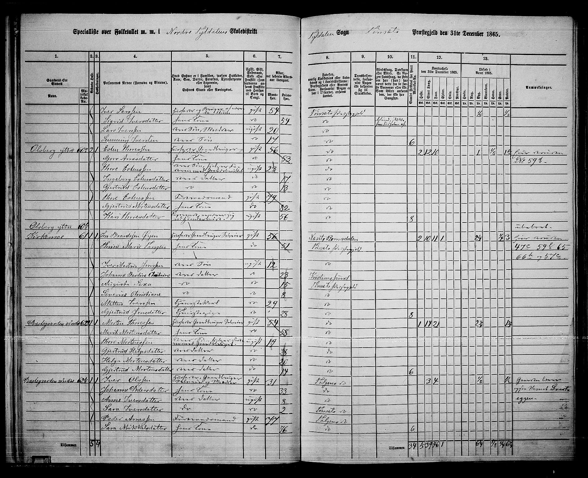 RA, 1865 census for Tynset, 1865, p. 33