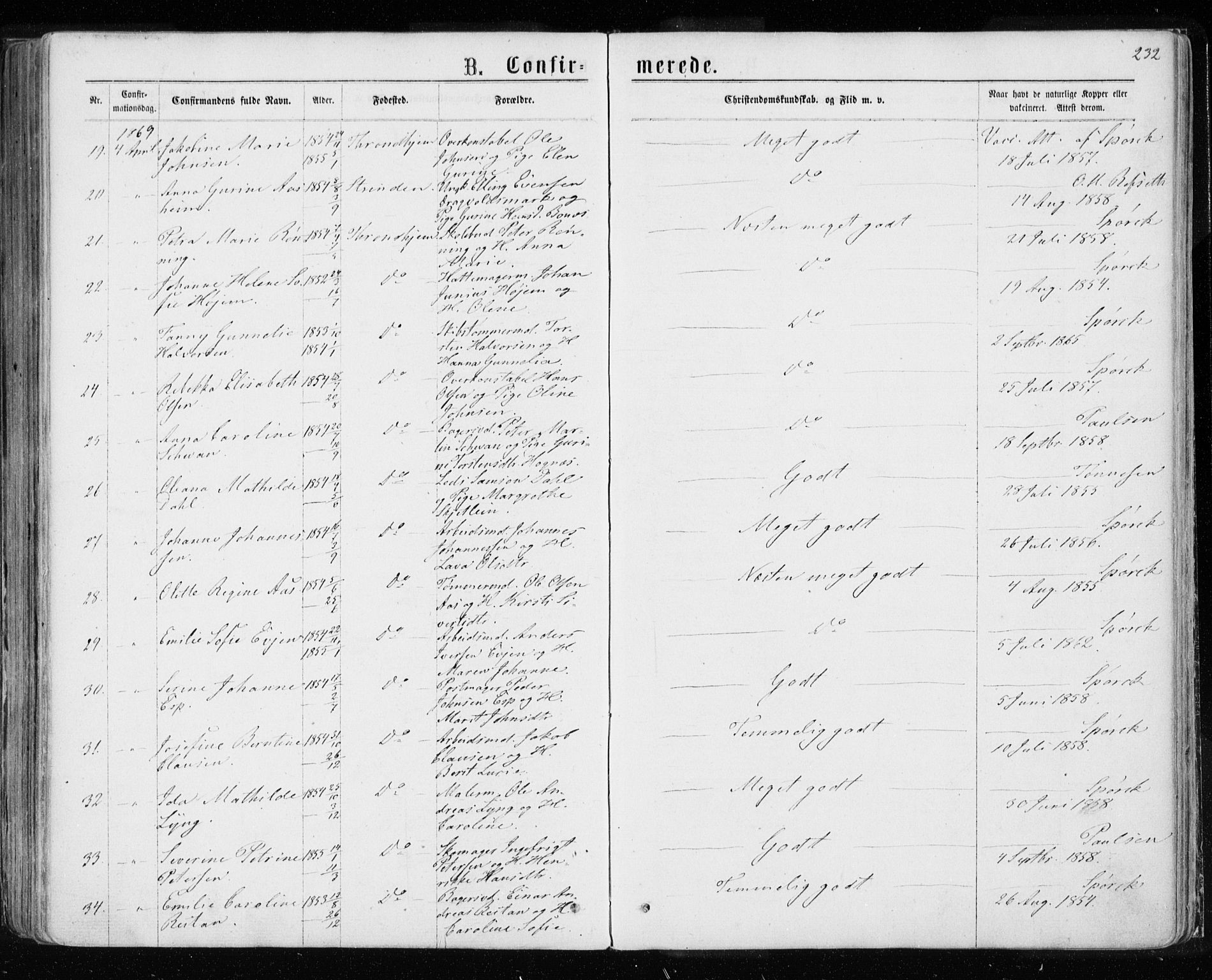 Ministerialprotokoller, klokkerbøker og fødselsregistre - Sør-Trøndelag, SAT/A-1456/601/L0054: Parish register (official) no. 601A22, 1866-1877, p. 232