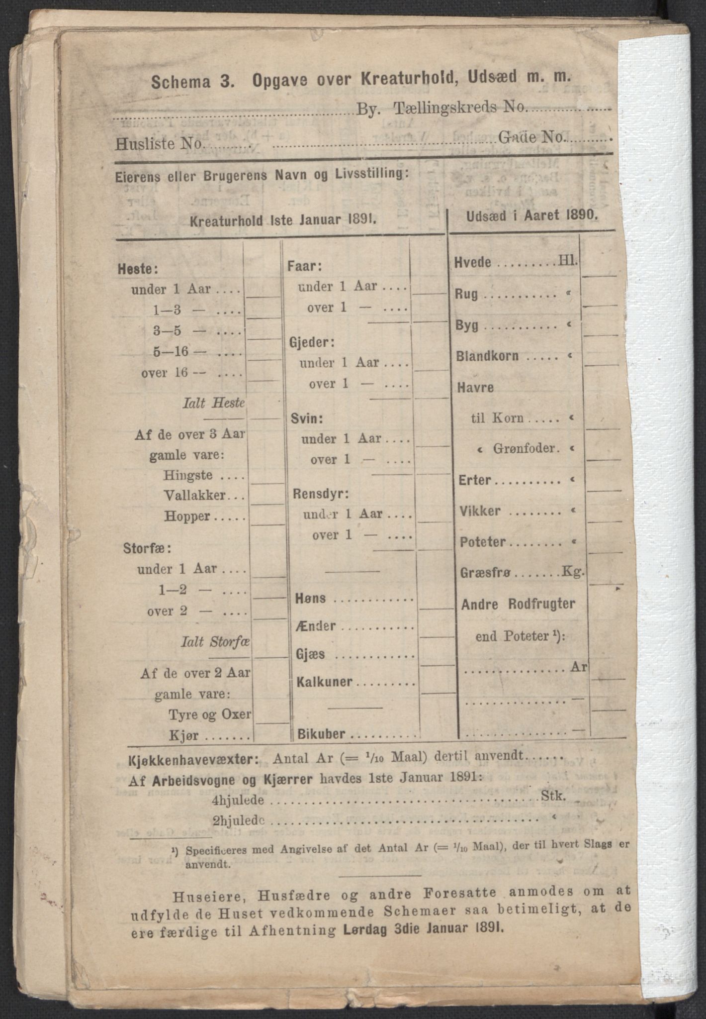 RA, 1891 Census for 1301 Bergen, 1891, p. 7425