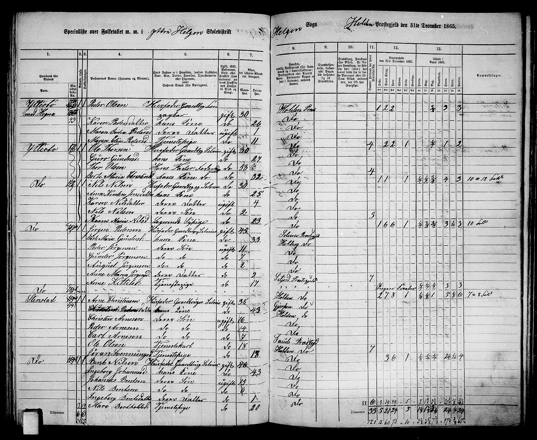 RA, 1865 census for Holla, 1865, p. 105