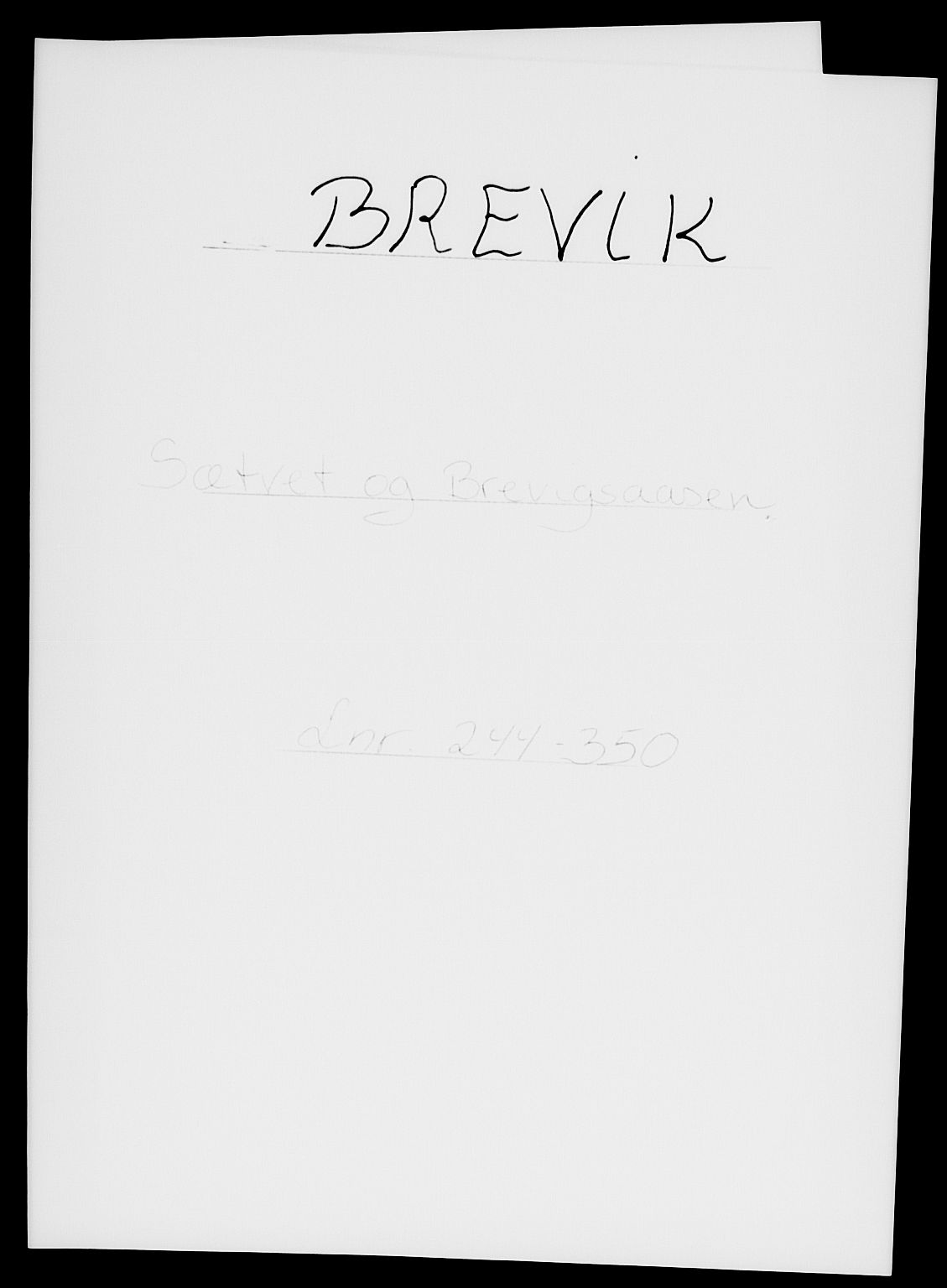 SAKO, 1885 census for 0804 Brevik, 1885, p. 490