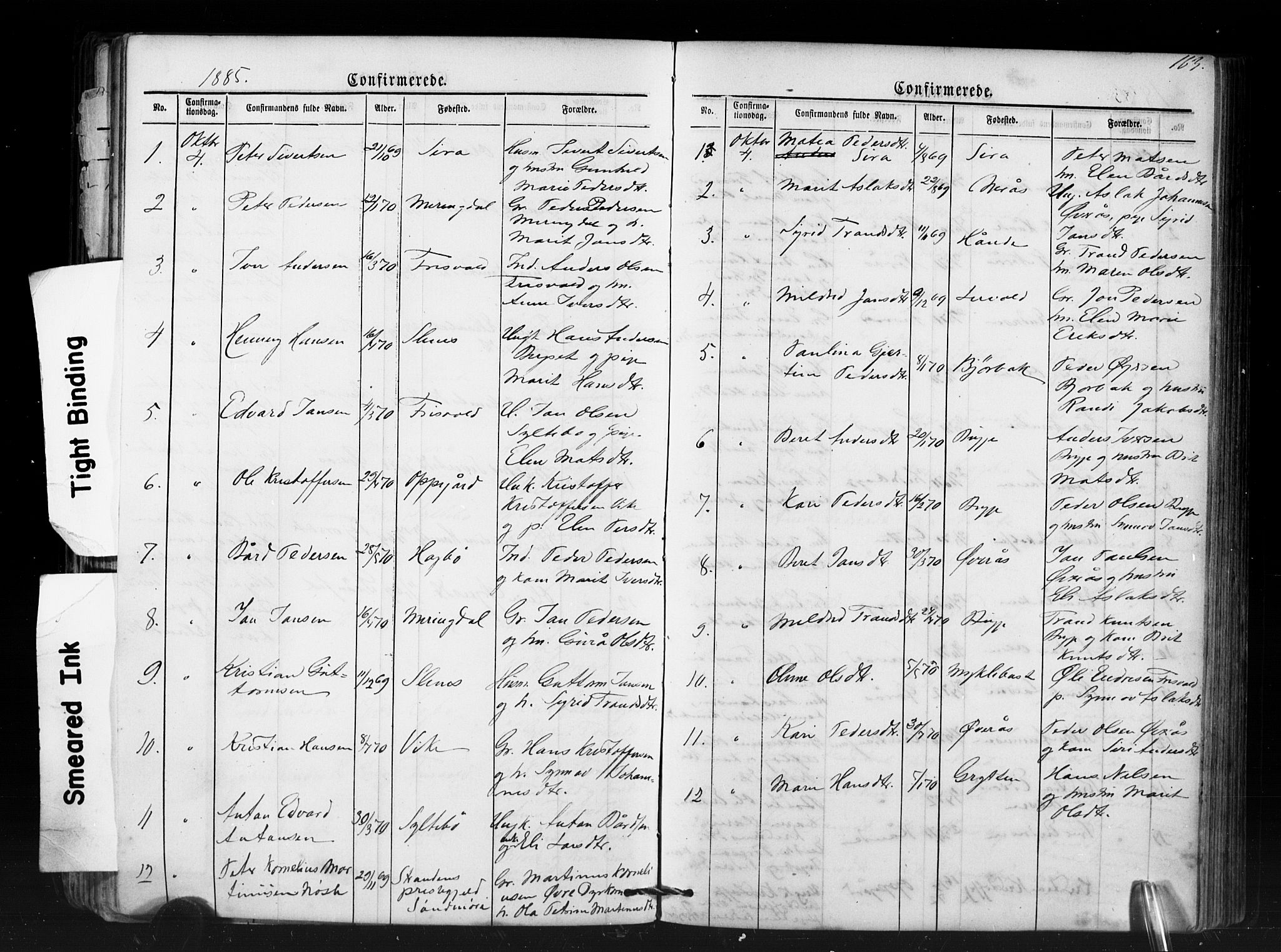 Ministerialprotokoller, klokkerbøker og fødselsregistre - Møre og Romsdal, SAT/A-1454/552/L0638: Parish register (copy) no. 552C01, 1867-1902, p. 163