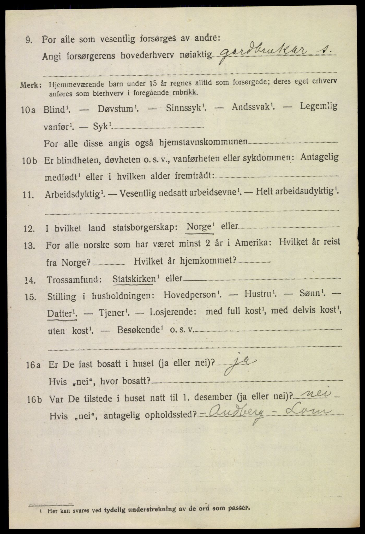 SAH, 1920 census for Lom, 1920, p. 3153