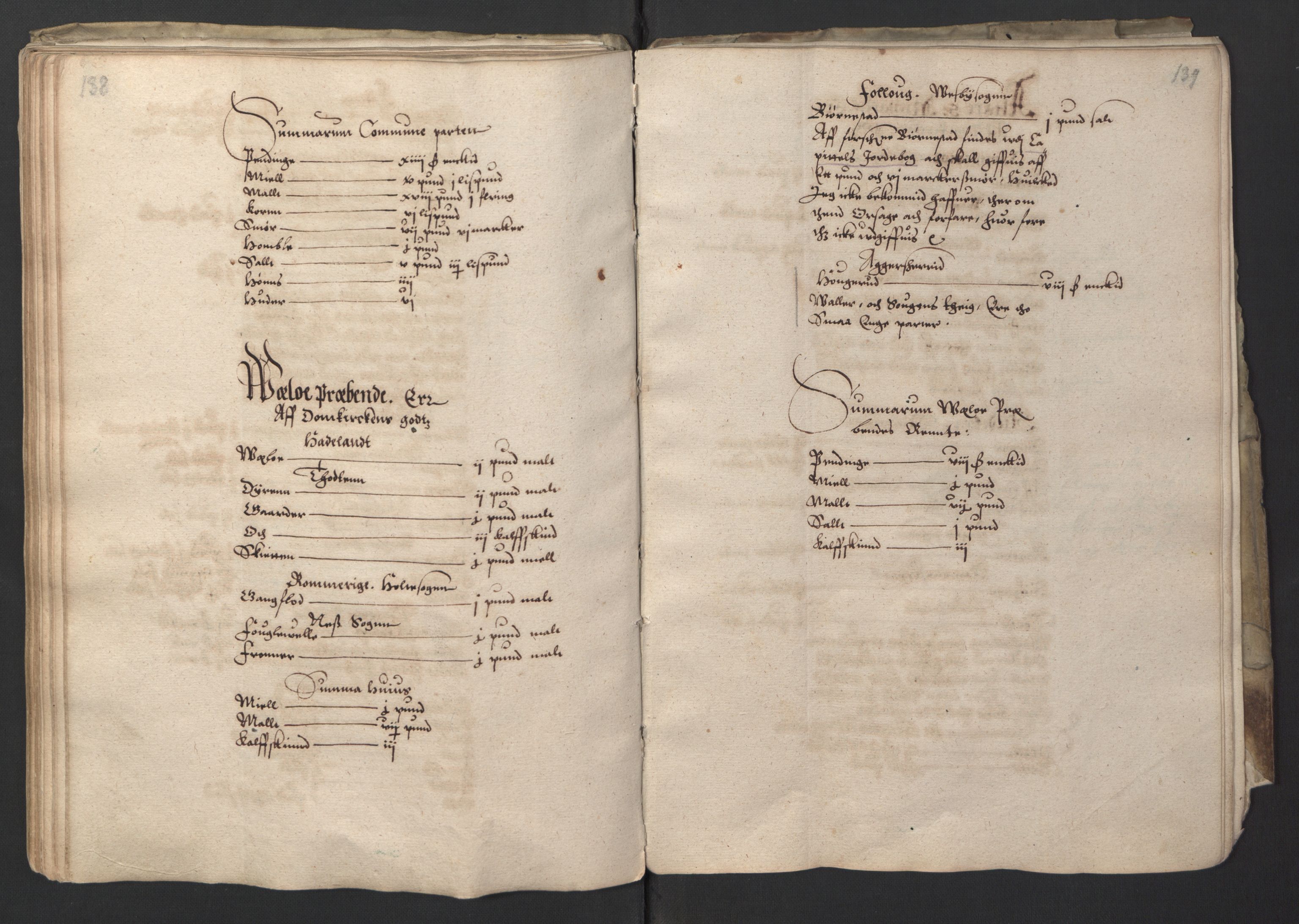 Stattholderembetet 1572-1771, AV/RA-EA-2870/Ek/L0001/0001: Jordebøker før 1624 og til utligning av garnisonsskatt 1624-1626: / Jordebok for Oslo kapitel, 1595, p. 79