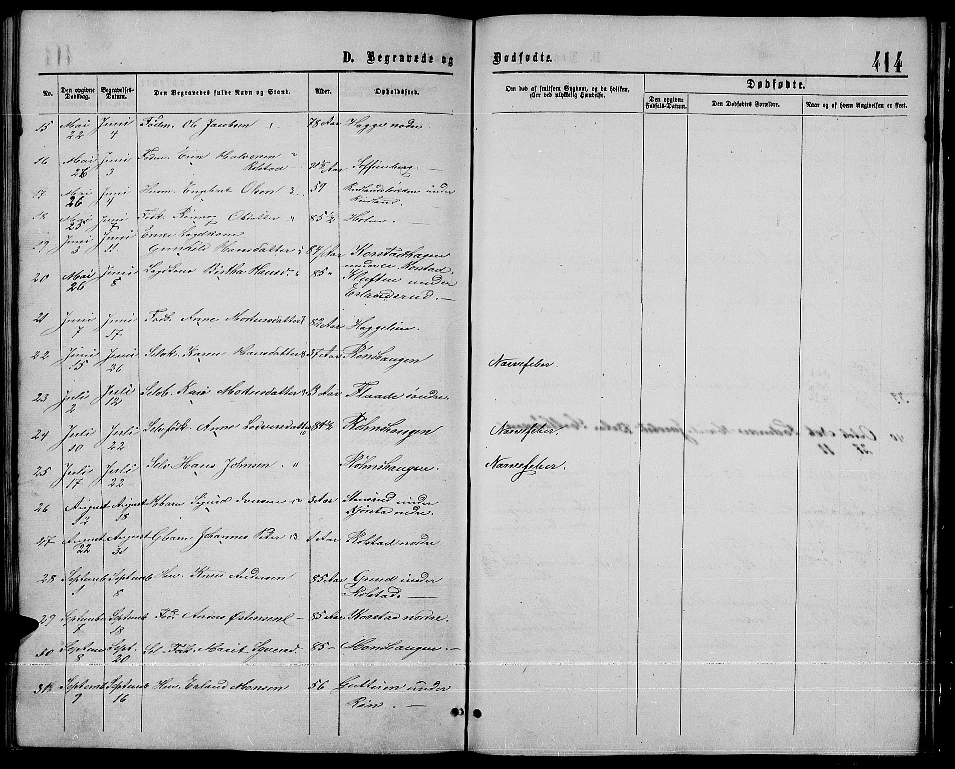 Sør-Fron prestekontor, SAH/PREST-010/H/Ha/Hab/L0002: Parish register (copy) no. 2, 1864-1883, p. 414