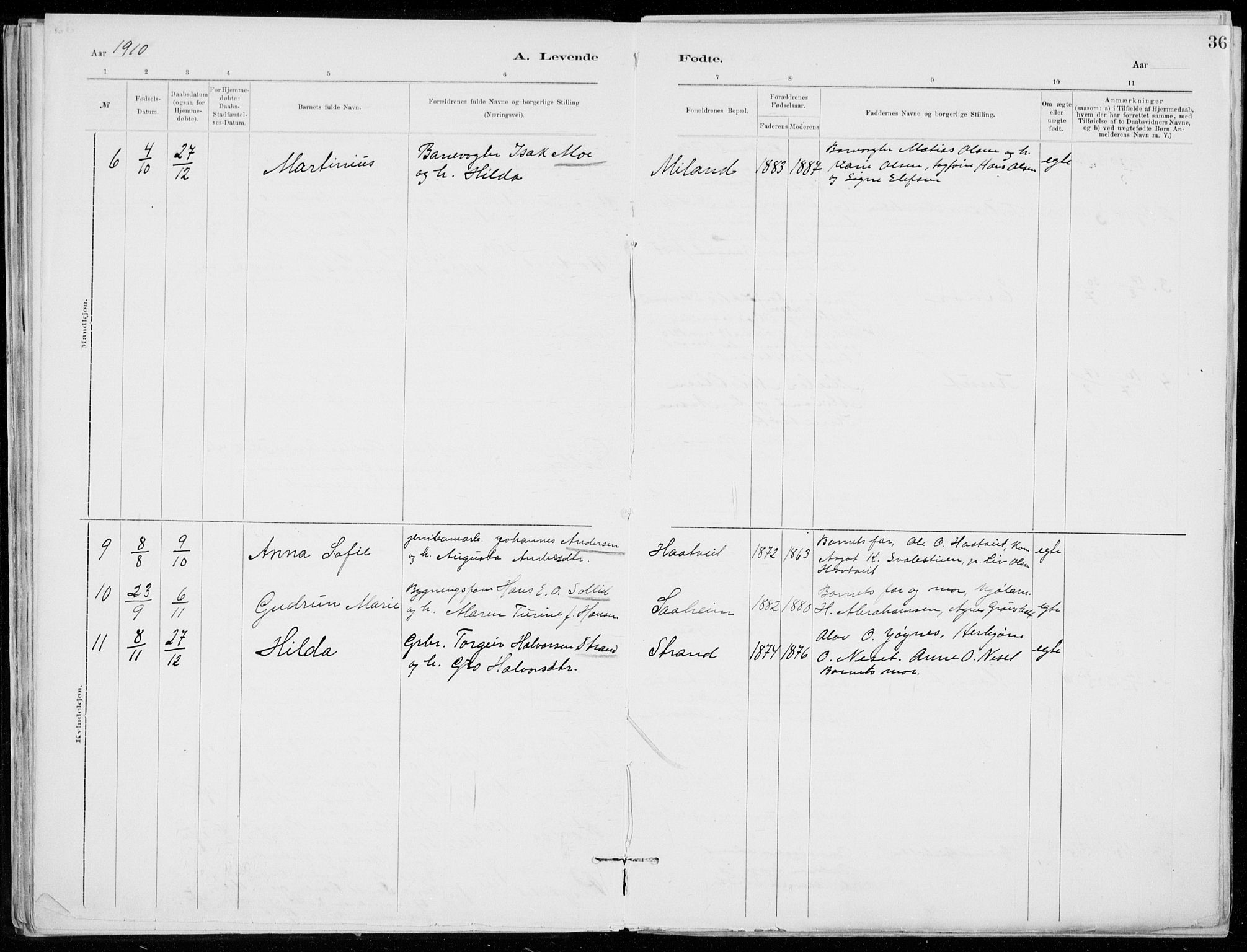 Tinn kirkebøker, AV/SAKO-A-308/F/Fb/L0002: Parish register (official) no. II 2, 1878-1917, p. 36