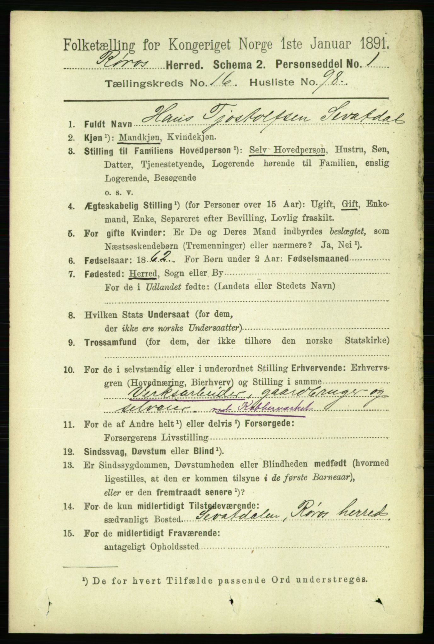 RA, 1891 census for 1640 Røros, 1891, p. 4245