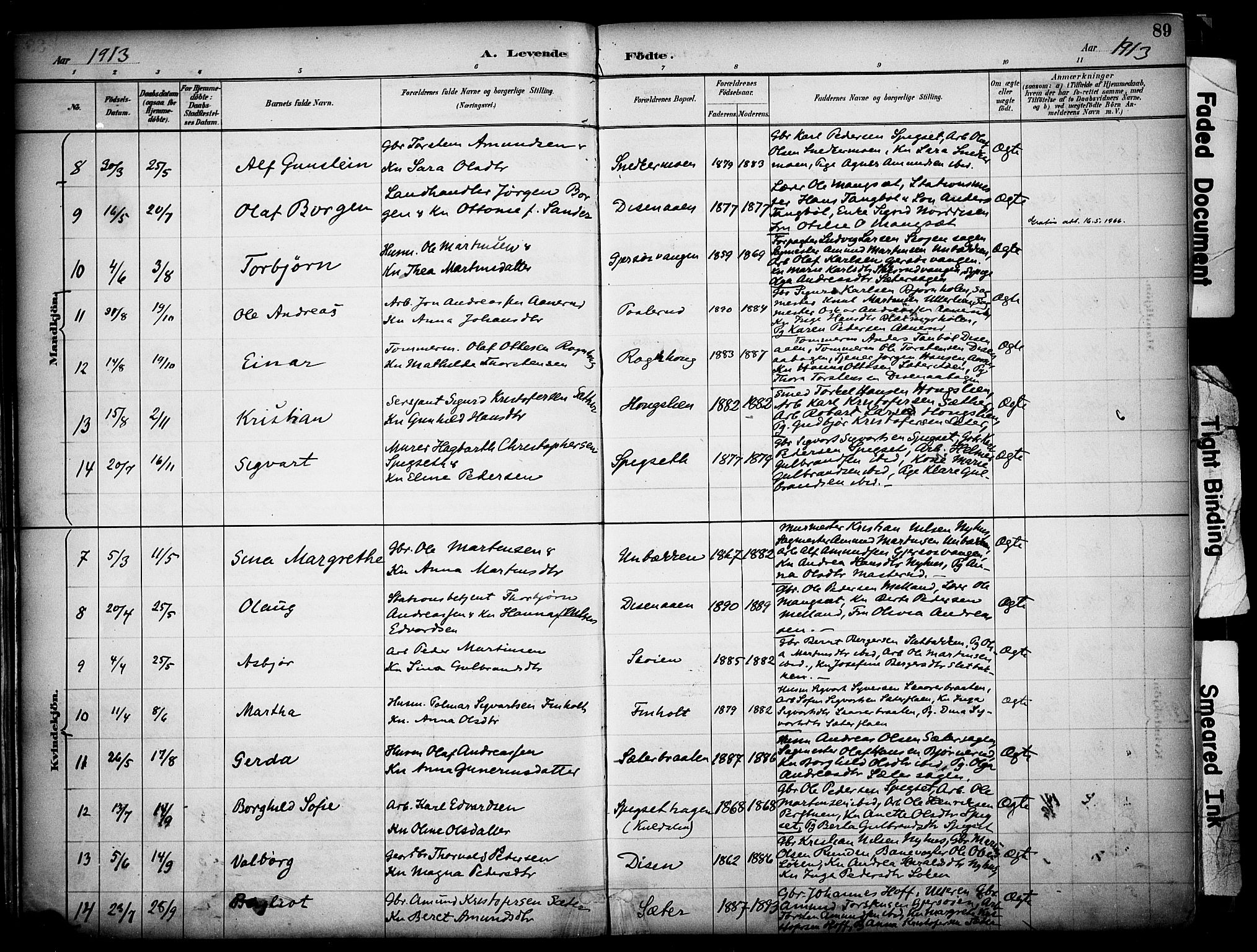 Sør-Odal prestekontor, AV/SAH-PREST-030/H/Ha/Haa/L0008: Parish register (official) no. 8, 1886-1922, p. 89