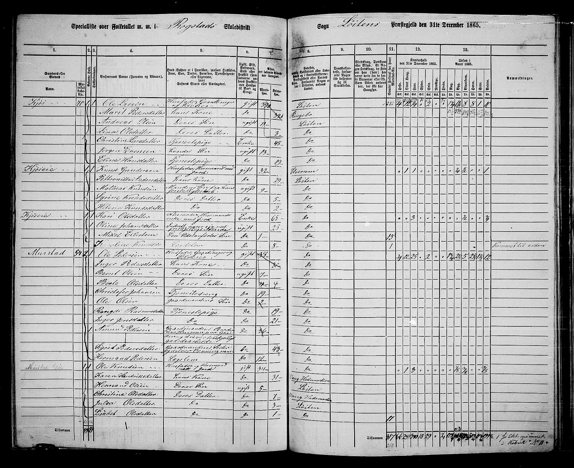 RA, 1865 census for Løten, 1865, p. 155