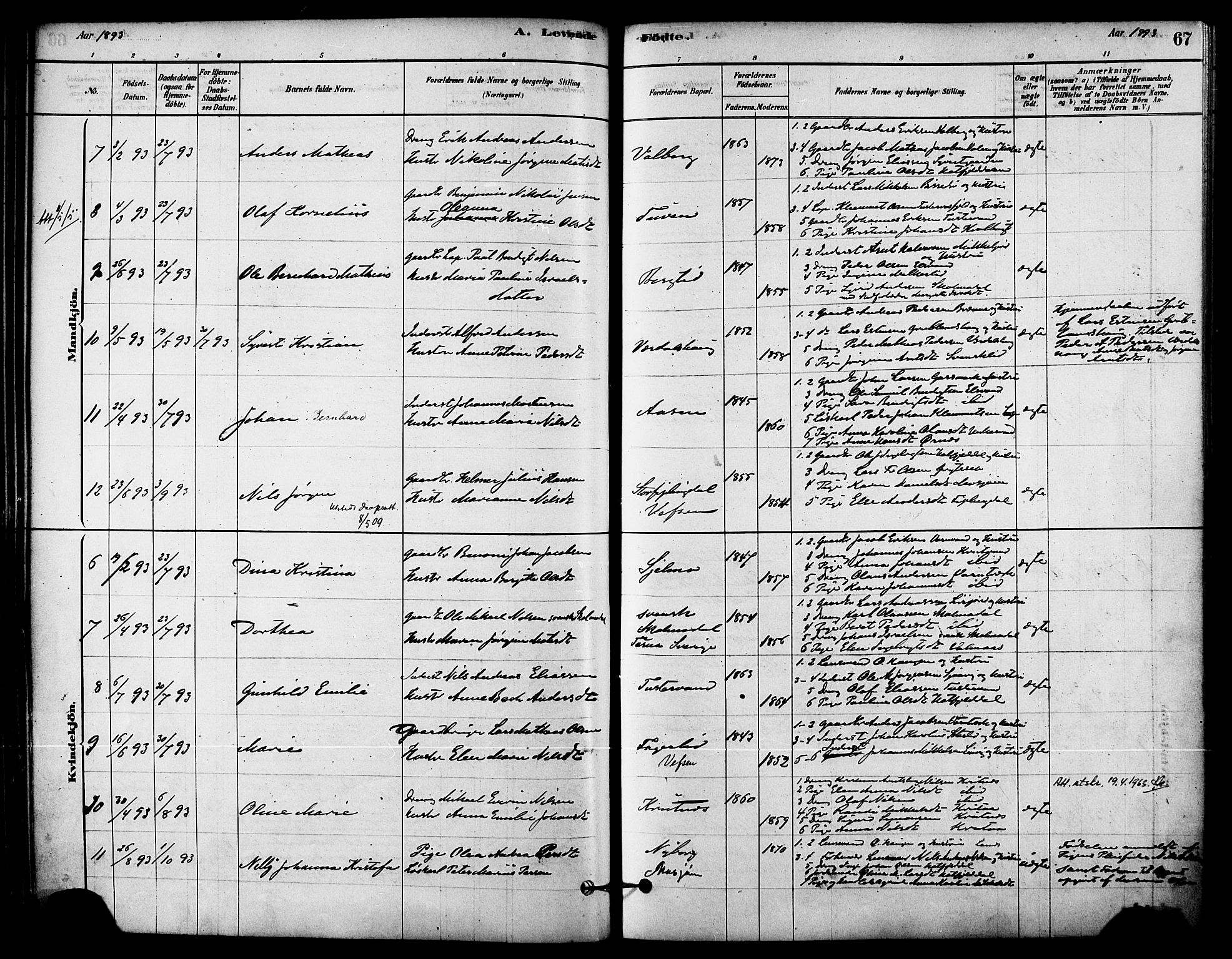 Ministerialprotokoller, klokkerbøker og fødselsregistre - Nordland, AV/SAT-A-1459/823/L0325: Parish register (official) no. 823A02, 1878-1898, p. 67