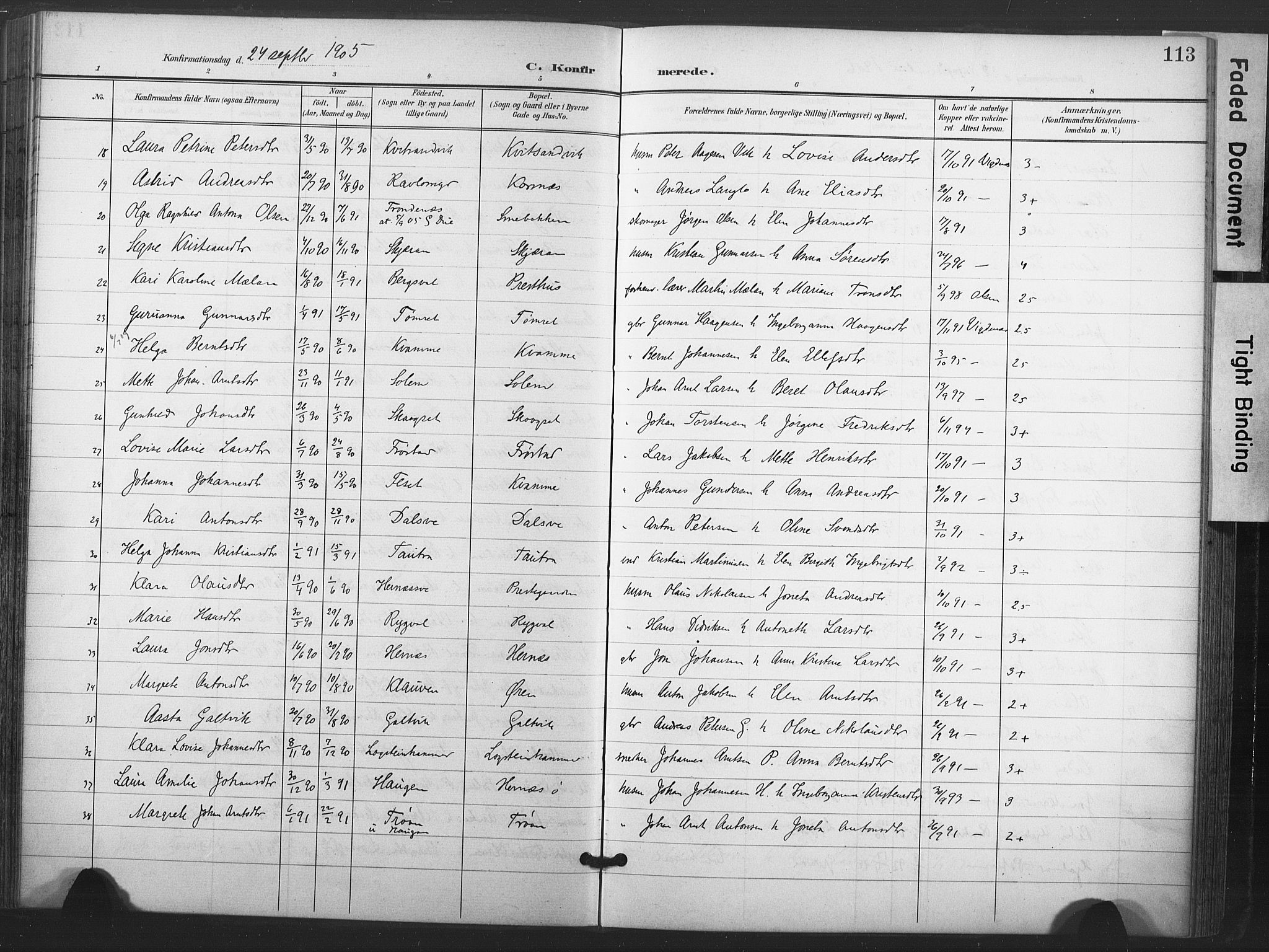 Ministerialprotokoller, klokkerbøker og fødselsregistre - Nord-Trøndelag, SAT/A-1458/713/L0122: Parish register (official) no. 713A11, 1899-1910, p. 113