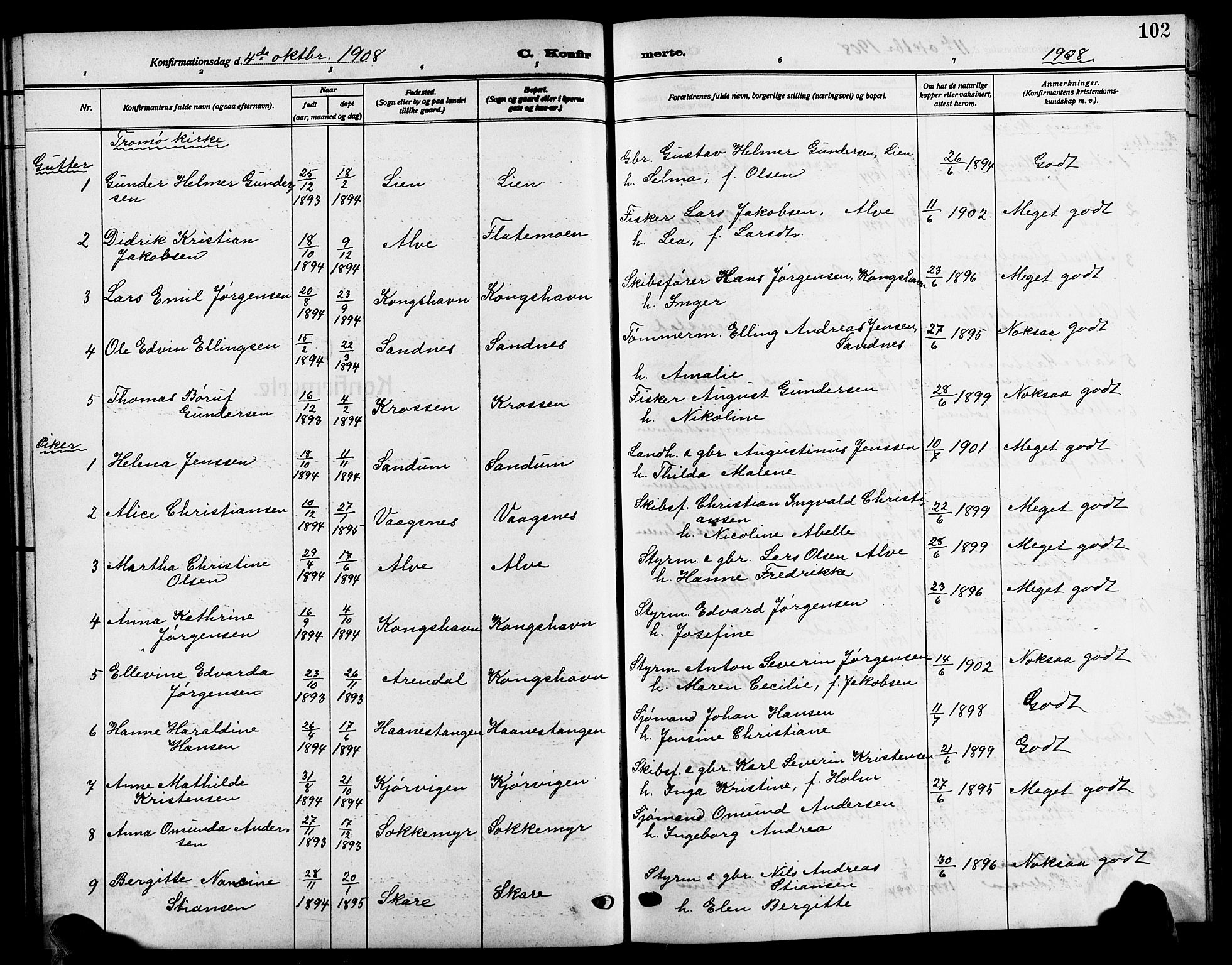 Tromøy sokneprestkontor, AV/SAK-1111-0041/F/Fb/L0007: Parish register (copy) no. B 7, 1908-1925, p. 102