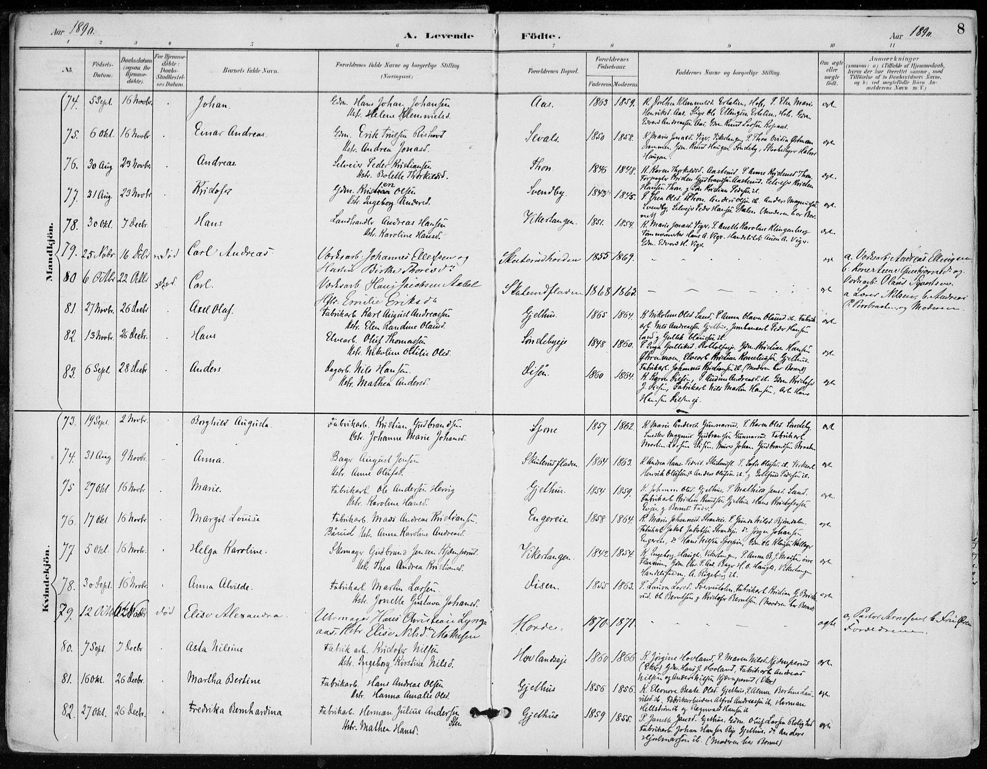 Modum kirkebøker, SAKO/A-234/F/Fa/L0012: Parish register (official) no. 12, 1890-1898, p. 8