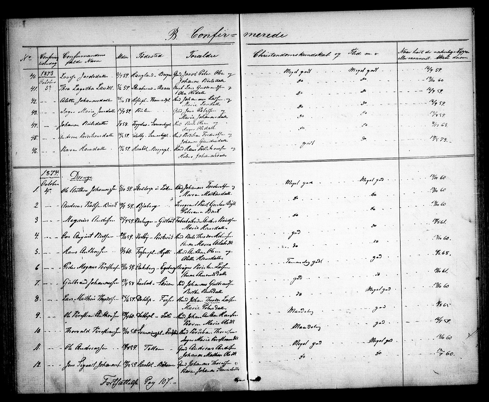 Spydeberg prestekontor Kirkebøker, SAO/A-10924/F/Fa/L0006: Parish register (official) no. I 6, 1863-1874
