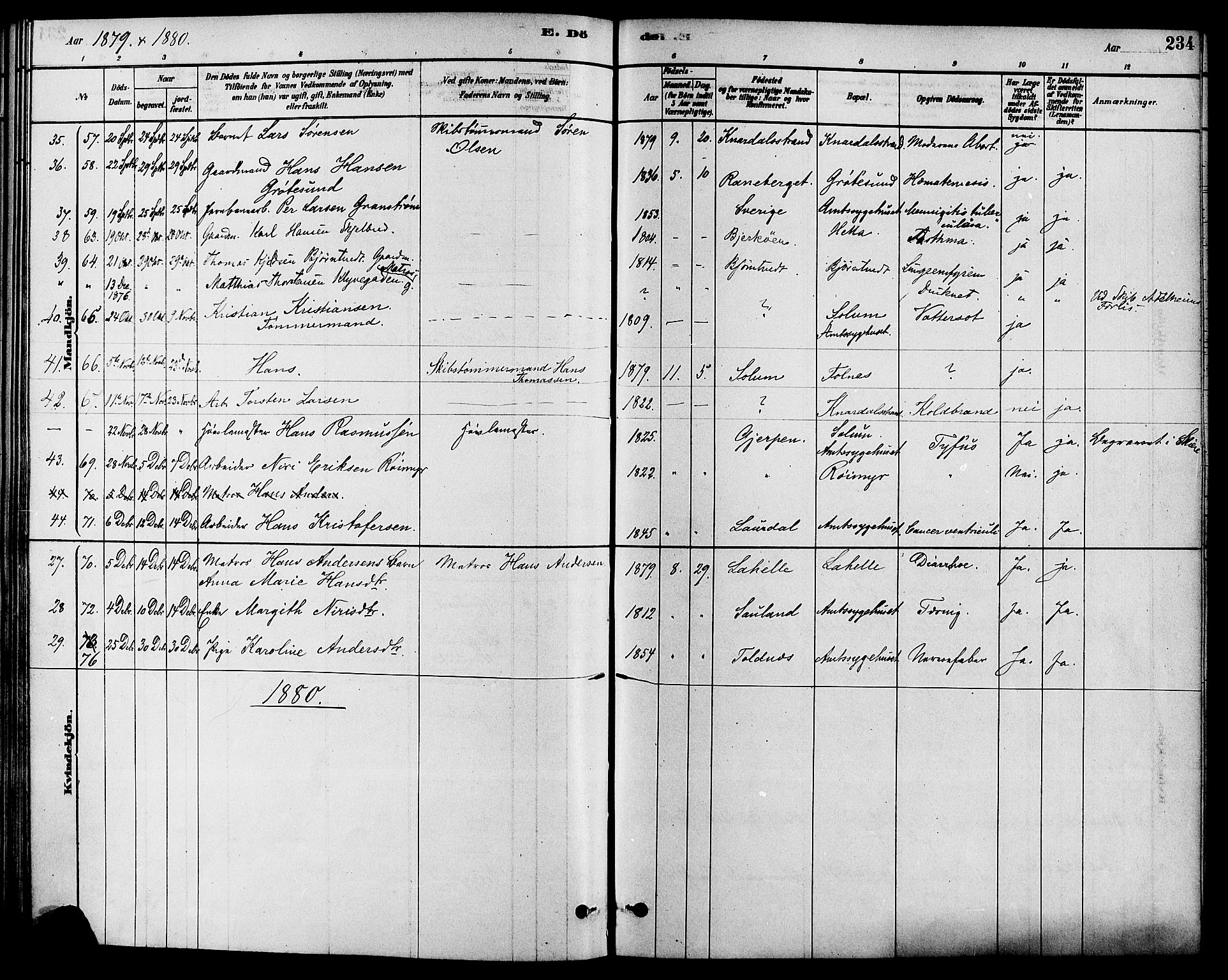 Solum kirkebøker, SAKO/A-306/F/Fa/L0009: Parish register (official) no. I 9, 1877-1887, p. 234